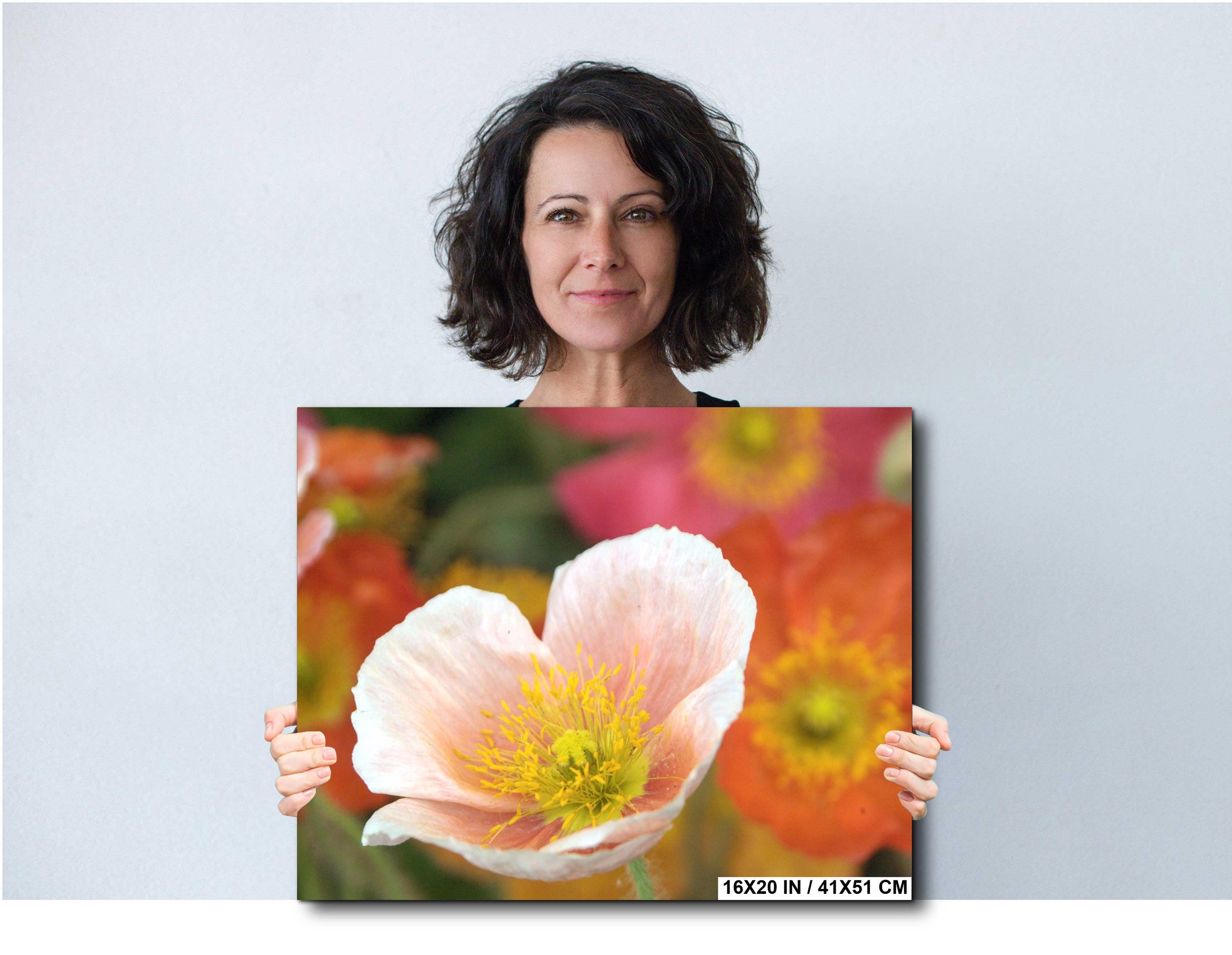 Floral Photography Print – Colorful Botanical Wall Art Decor | Vibrant Flower Artwork