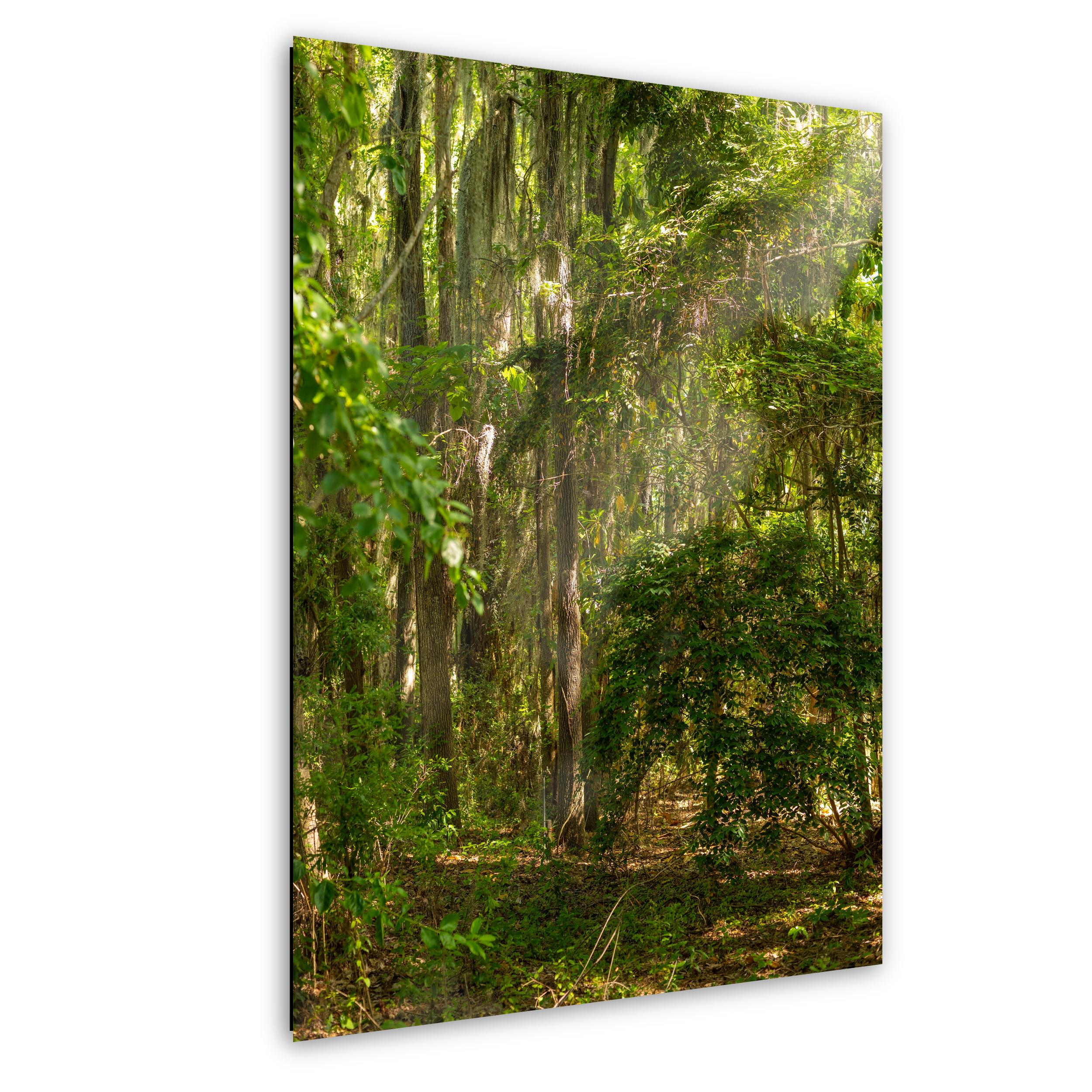 Savannah Wall Art | Coastal Georgia Art Print With Spanish Moss & Southern Charm