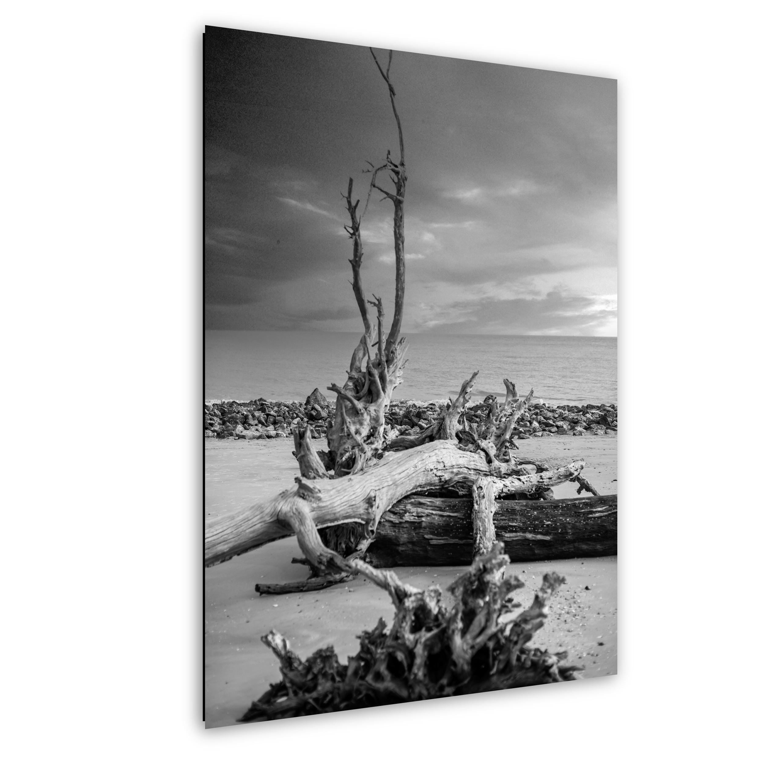 Driftwood Beach Print - Georgia Coastal Landscape Art | Seaside Wall Photo