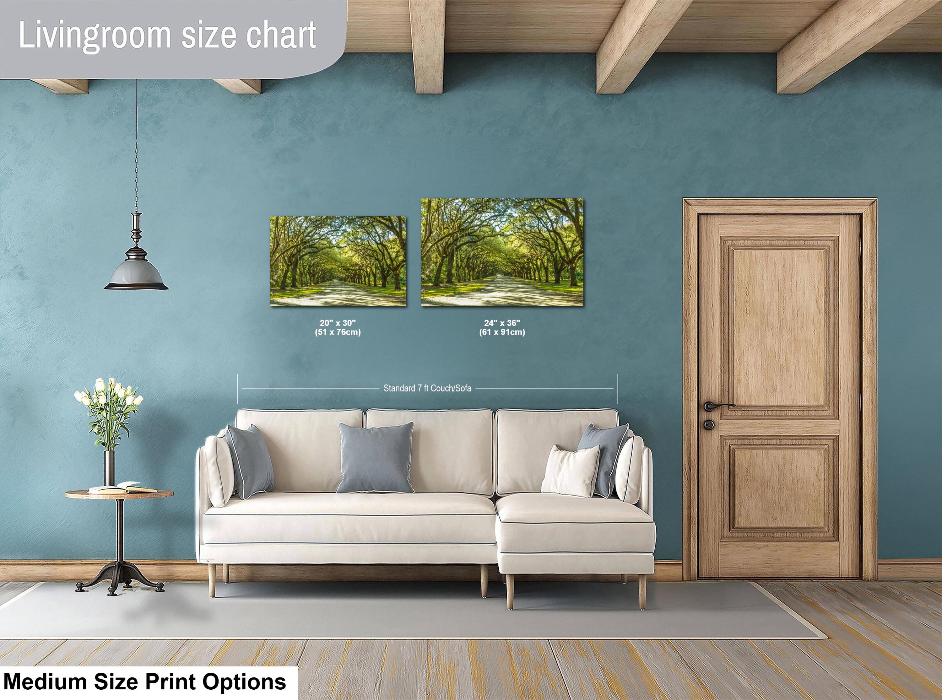 Savannah Photography Print – Wormsloe Plantation Art | Coastal Georgia Landscape