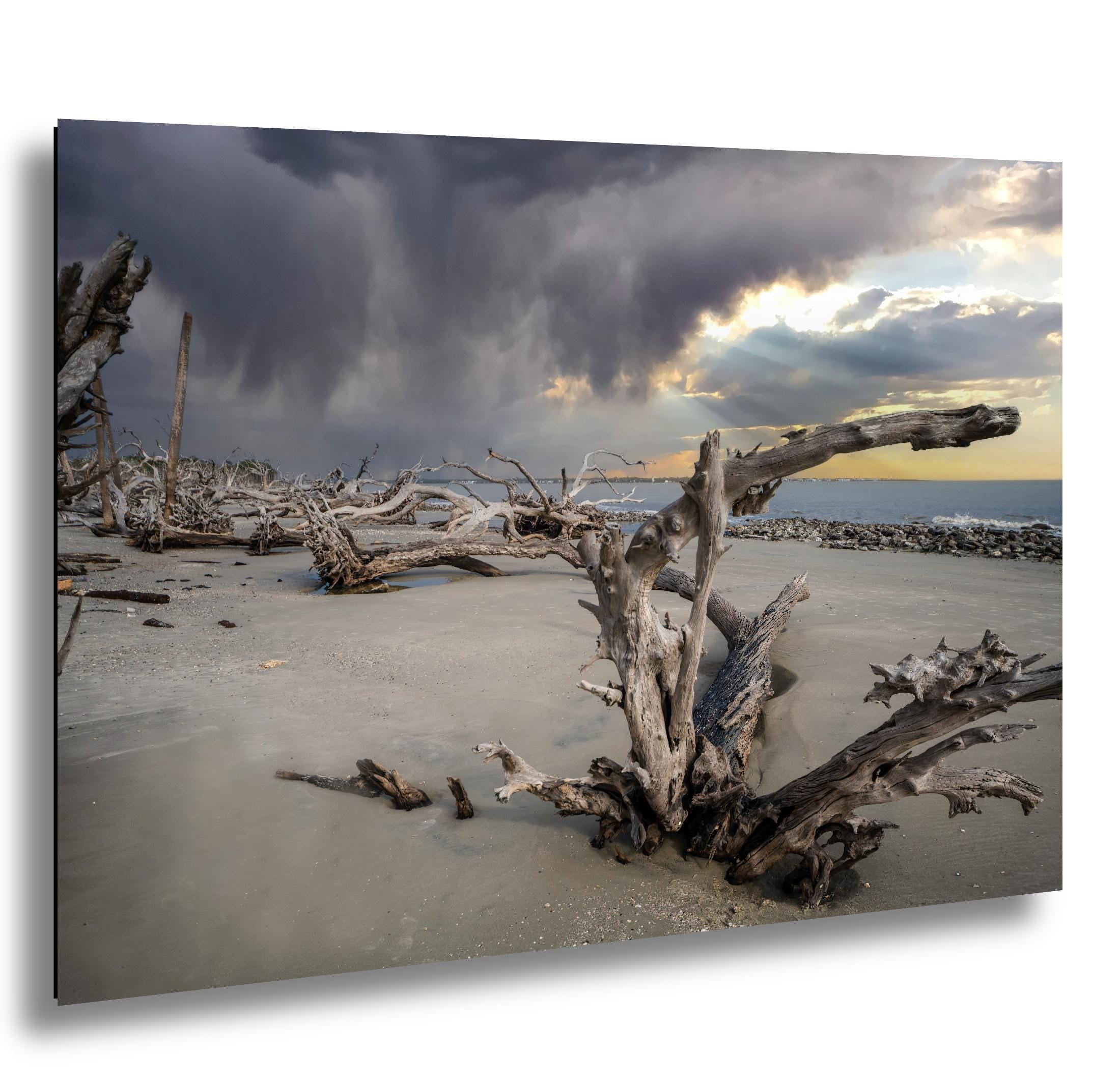 Coastal Driftwood Print – Georgia Landscape Photography Art | Beach Wall Decor