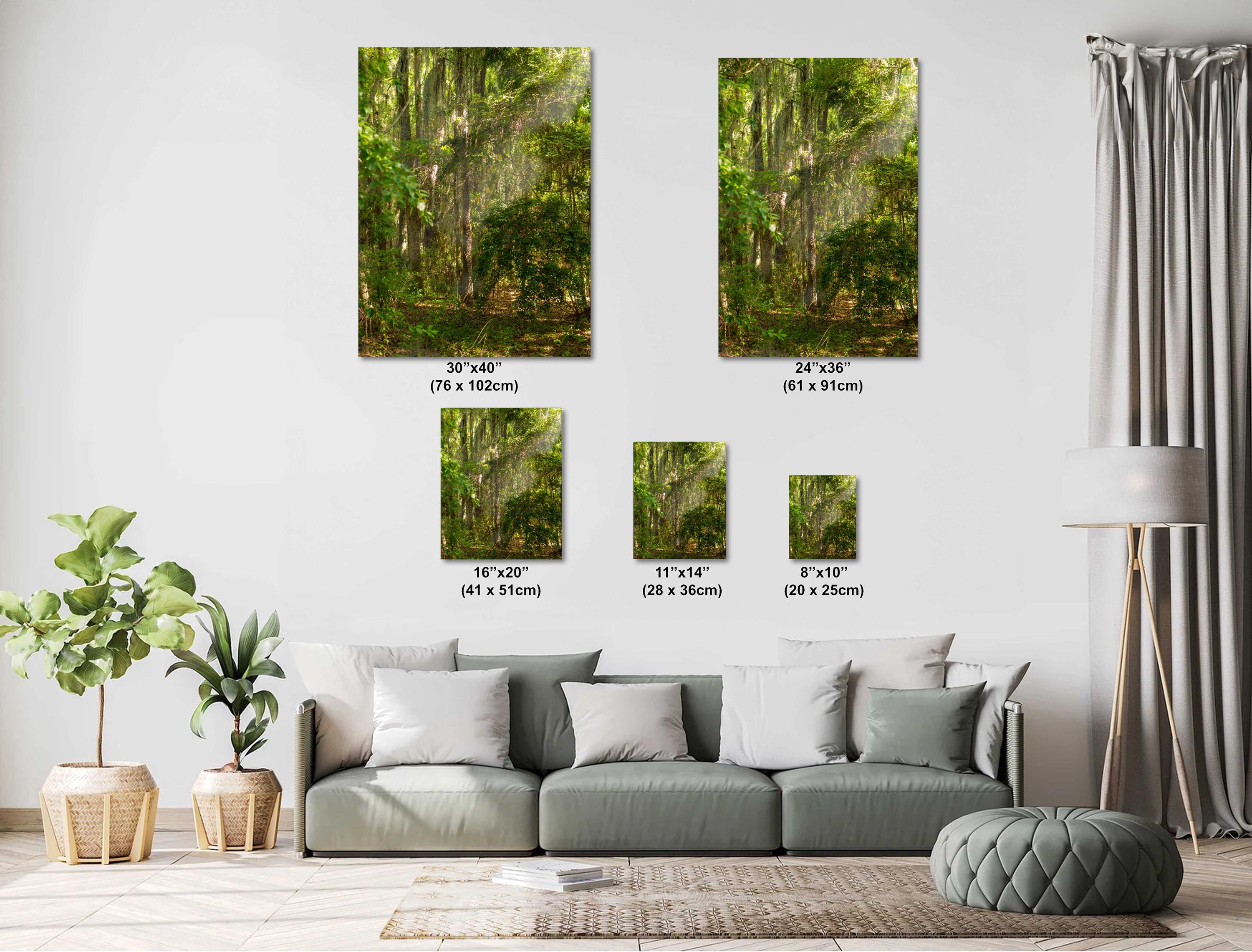 Savannah Wall Art | Coastal Georgia Art Print With Spanish Moss & Southern Charm