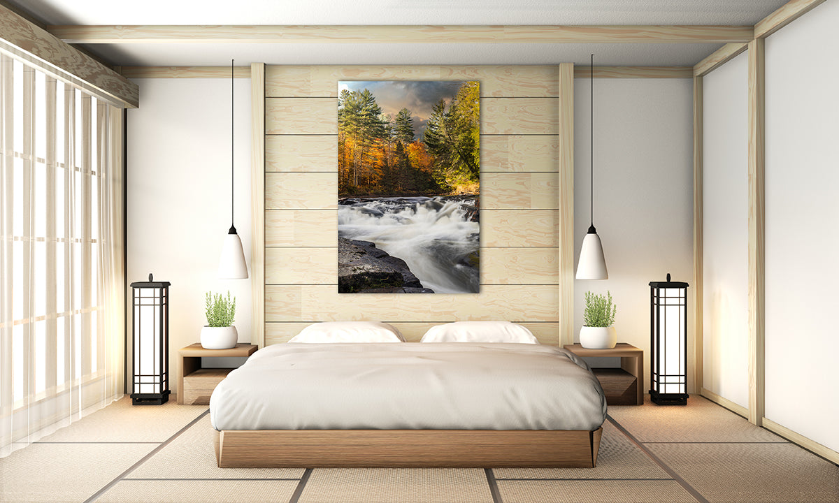 When Autumn Hushed the River: A Soft Descent Through Pines