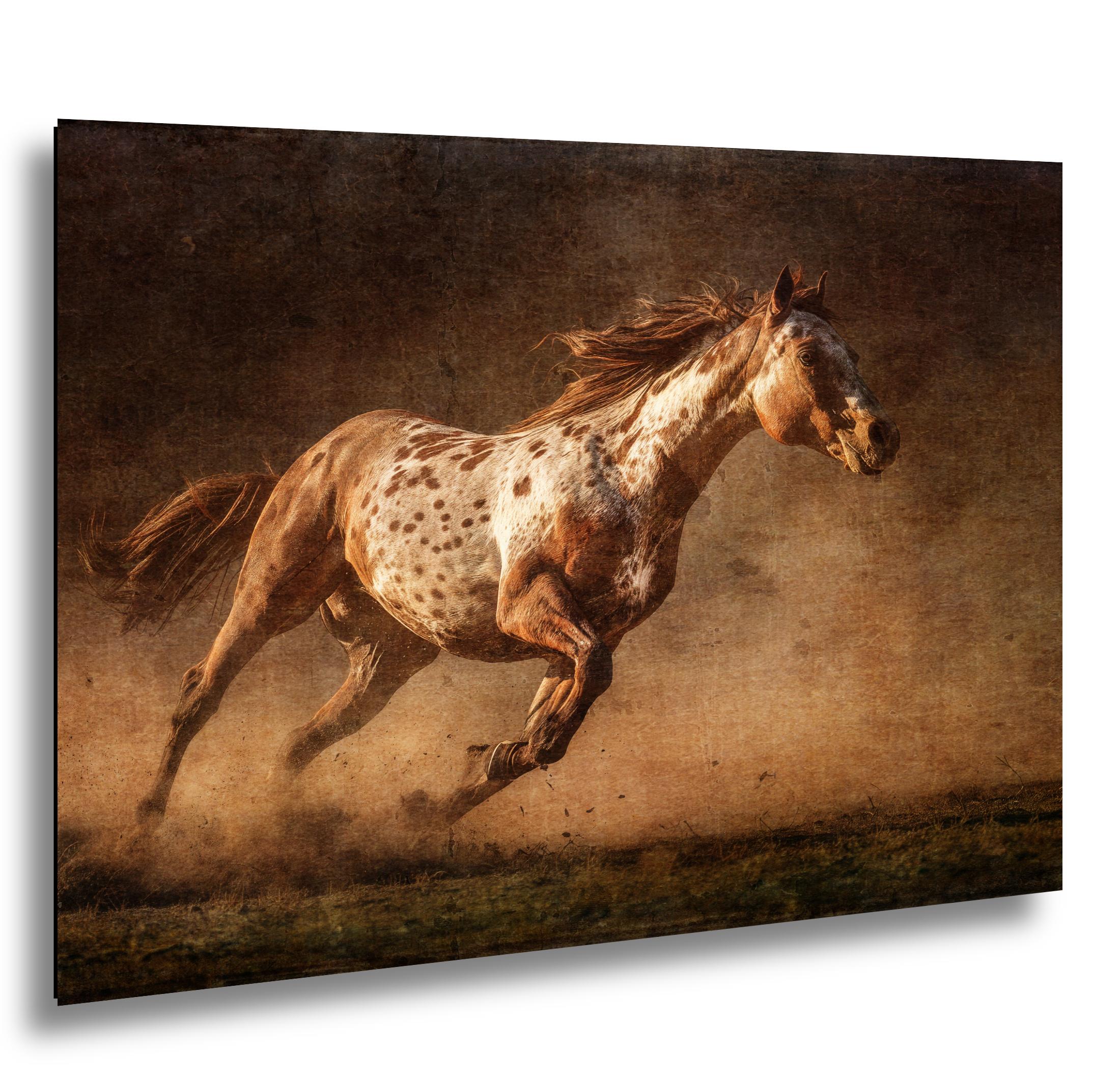 Palomino Art Print - Rustic Western Wall Art | Sunset Horse Painting Decor
