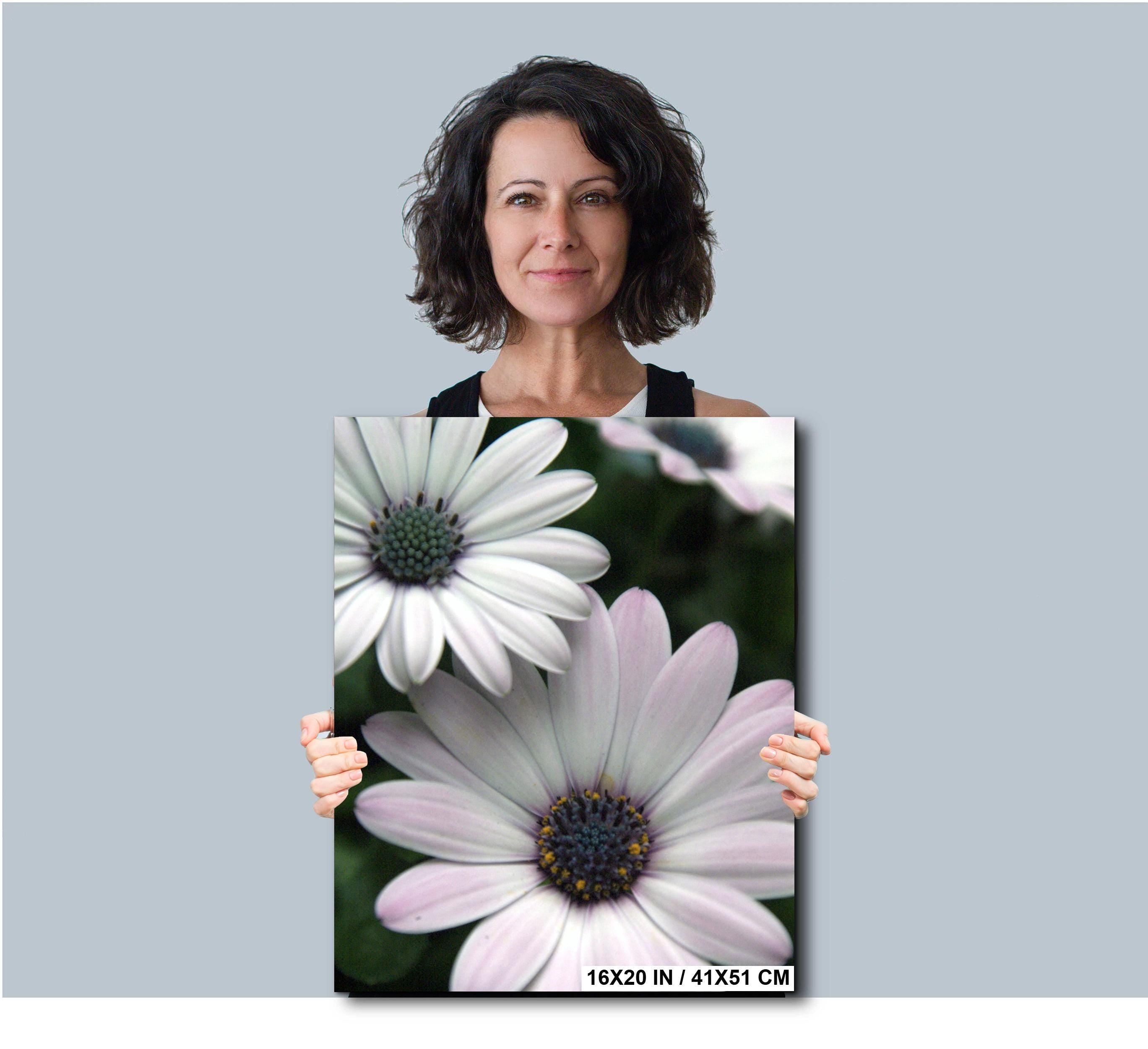 Floral Photography Print – Colorful Botanical Wall Art | Modern Garden Decor