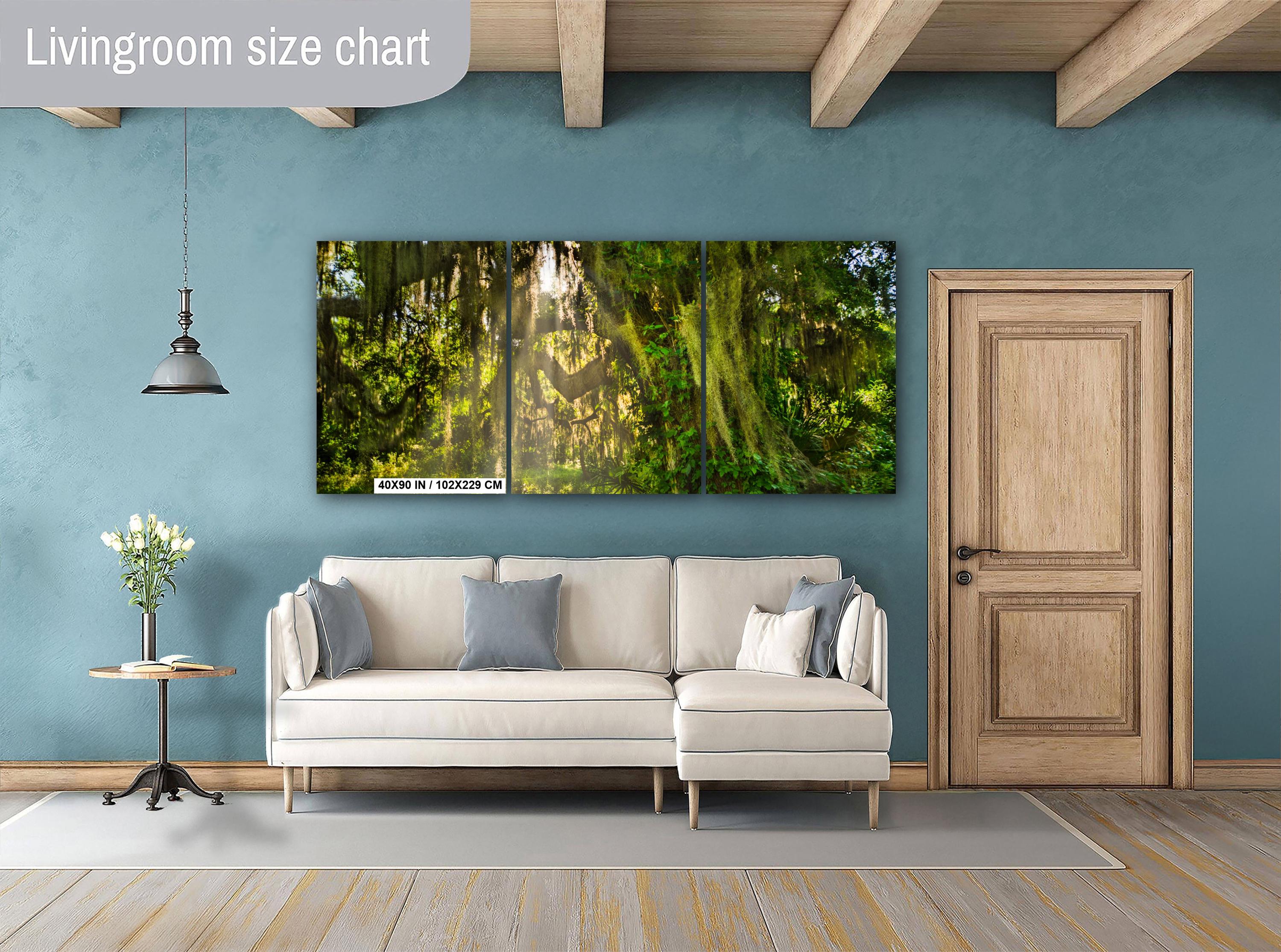 Savannah Photography Print – Southern Woods Art with Spanish Moss Wall Decor