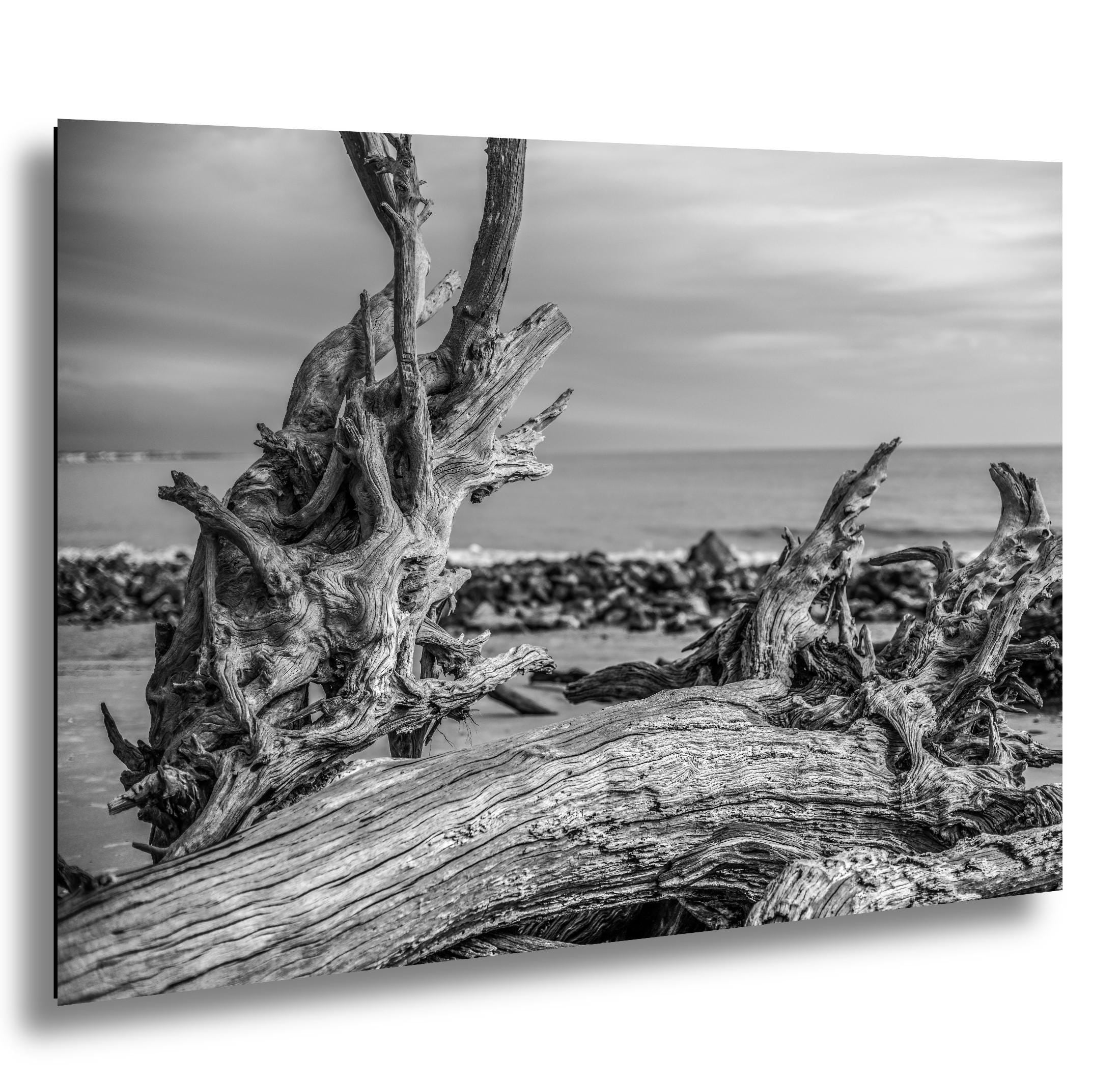 Driftwood Beach Photography - Coastal Wall Art Featuring Georgia Coast Landscape