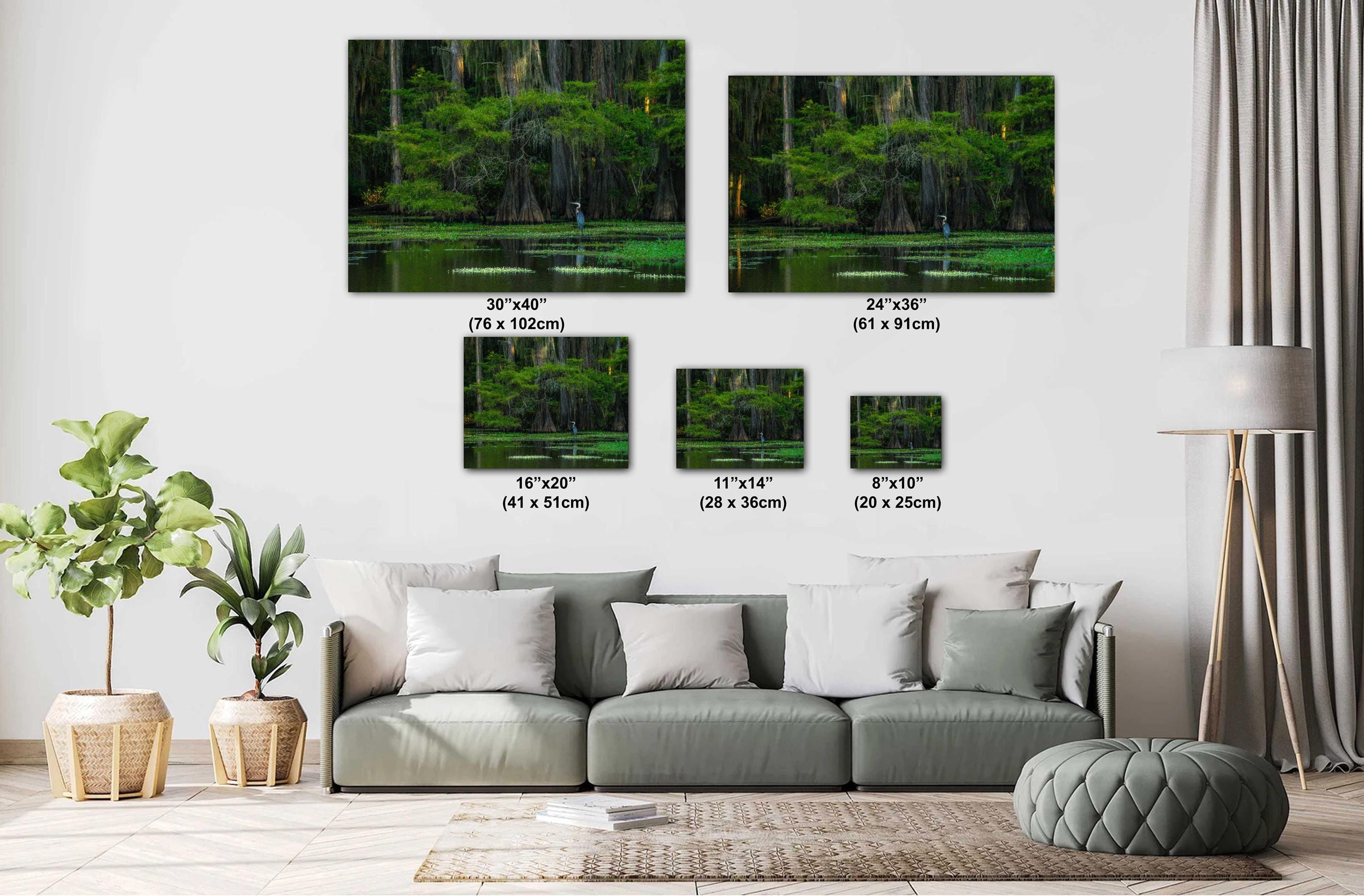 Caddo Lake Photography Print - Texas Bayou Cypress Heron Landscape Wall Art