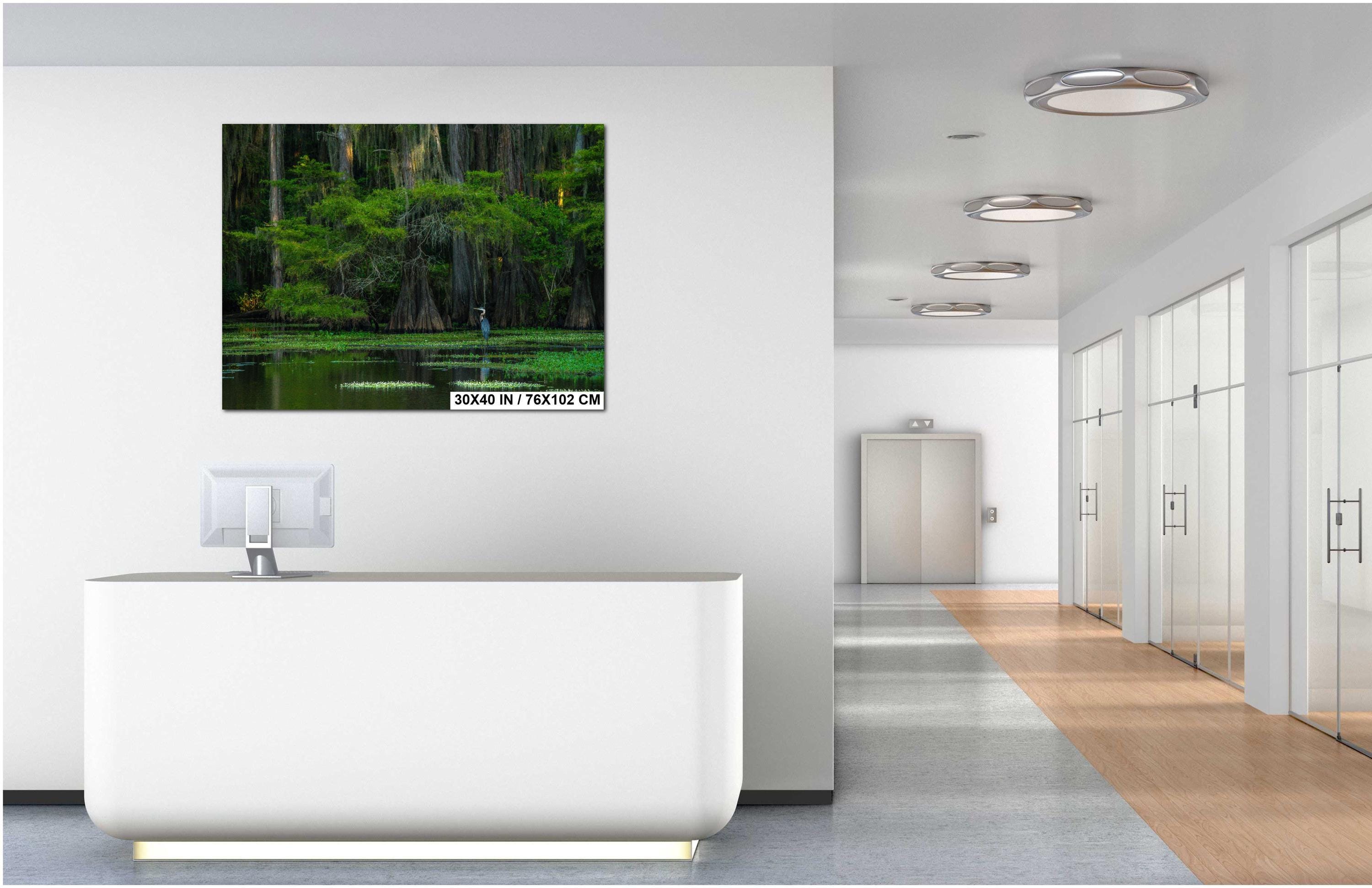 Caddo Lake Photography Print - Texas Bayou Cypress Heron Landscape Wall Art