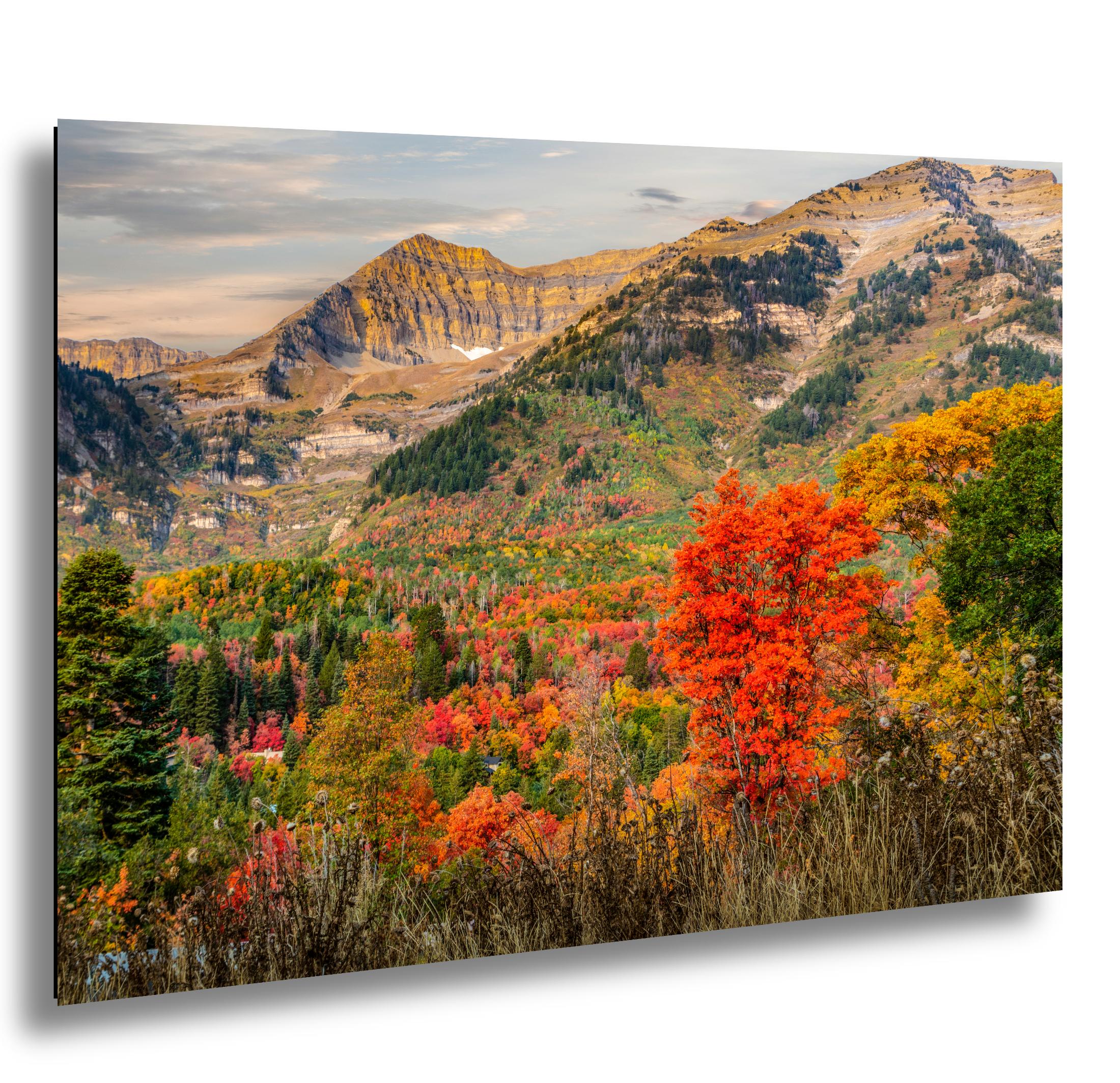 Wasatch Autumn Print – Vibrant Leaf Print & Quaking Aspen Art Mountain View