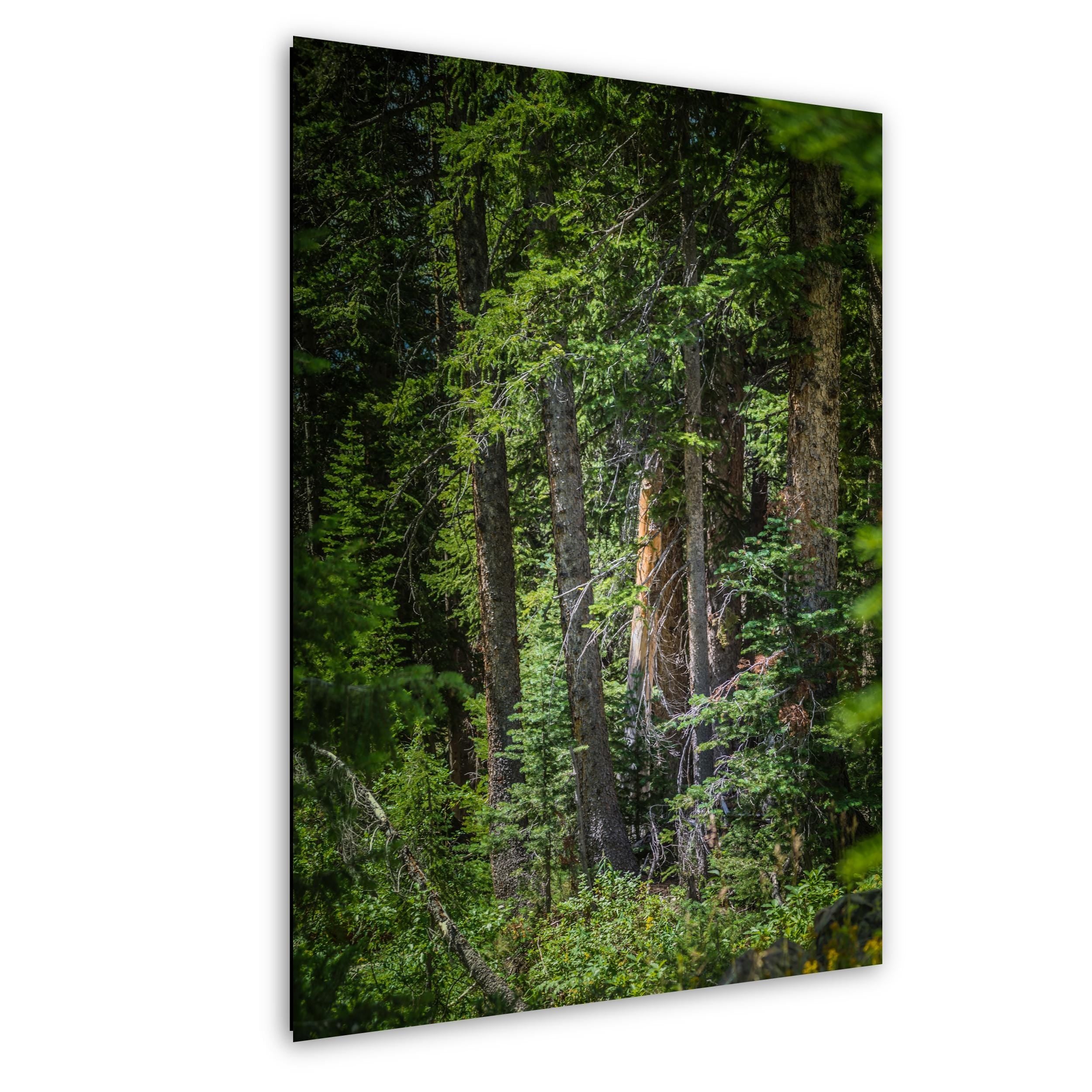 Sawtooth Mountains Print - Scenic Mountain Landscape Art | Rustic Cabin Wall Decor