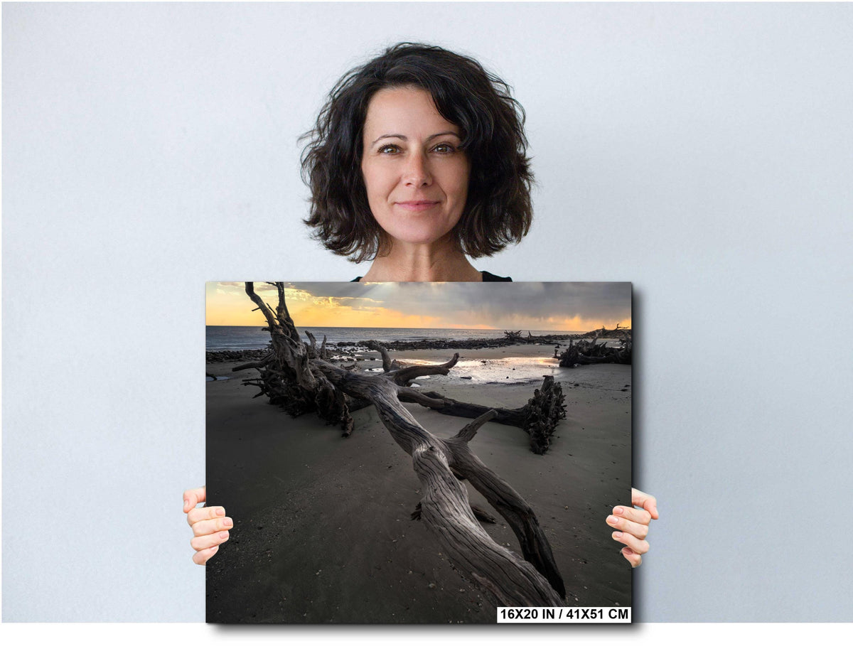 Driftwood Beach Photography Print - Georgia Coastal Art | Seaside Landscape Photo