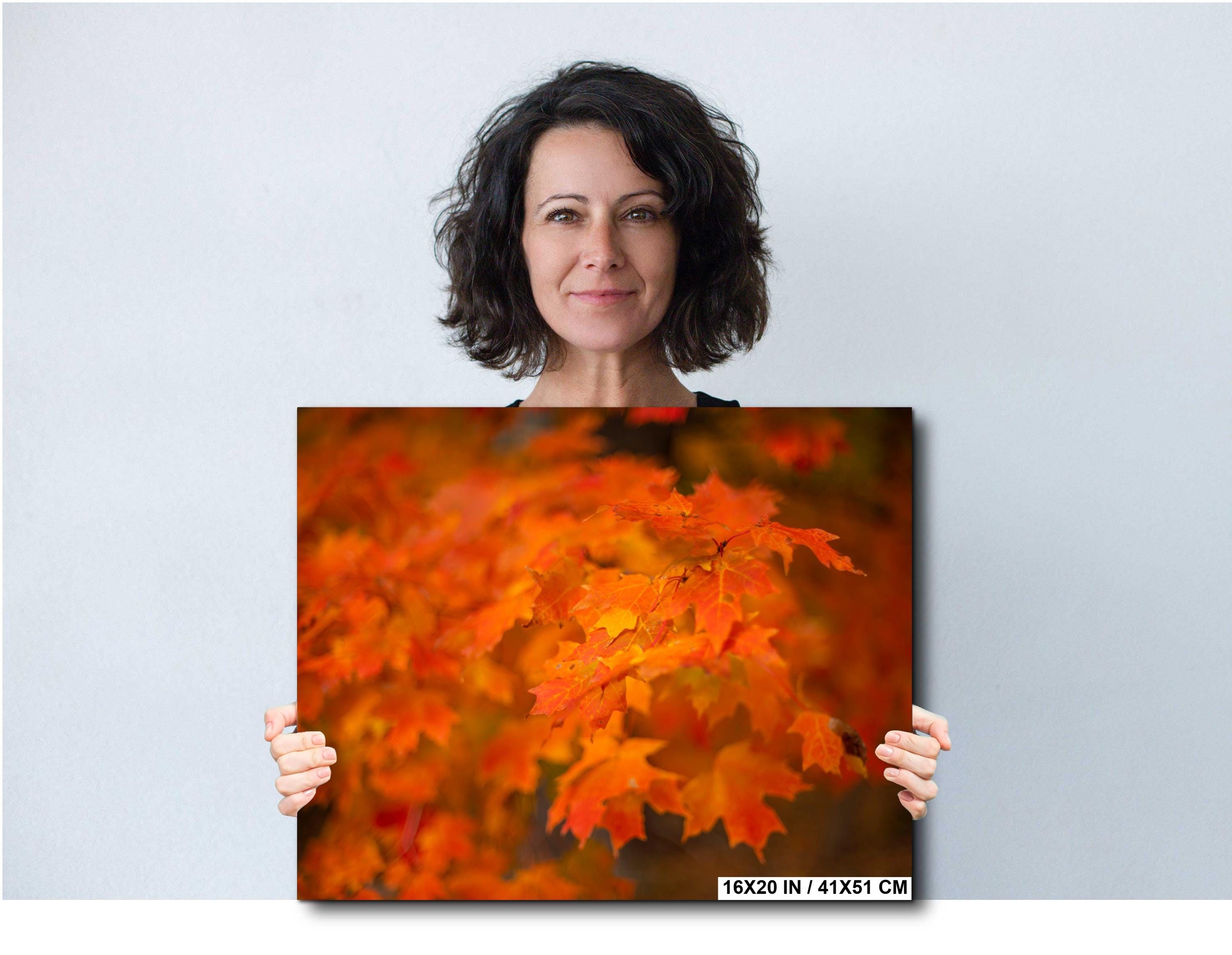 Adirondack Autumn Print - Vibrant Fall Foliage Art | Scenic Forest Artwork