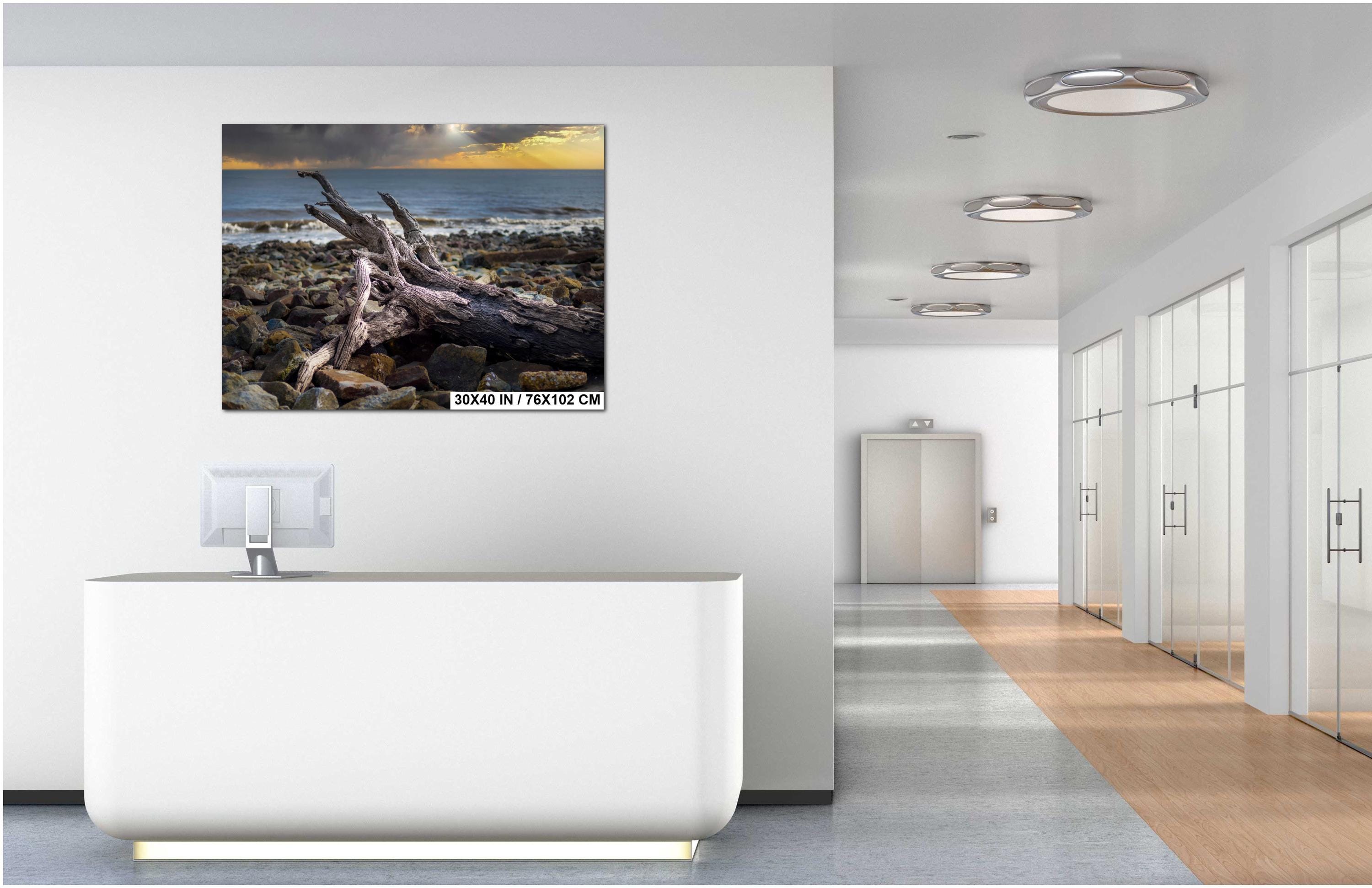 Driftwood Beach Photography Print – Georgia Coastal Landscape Art | Seaside Wall Decor