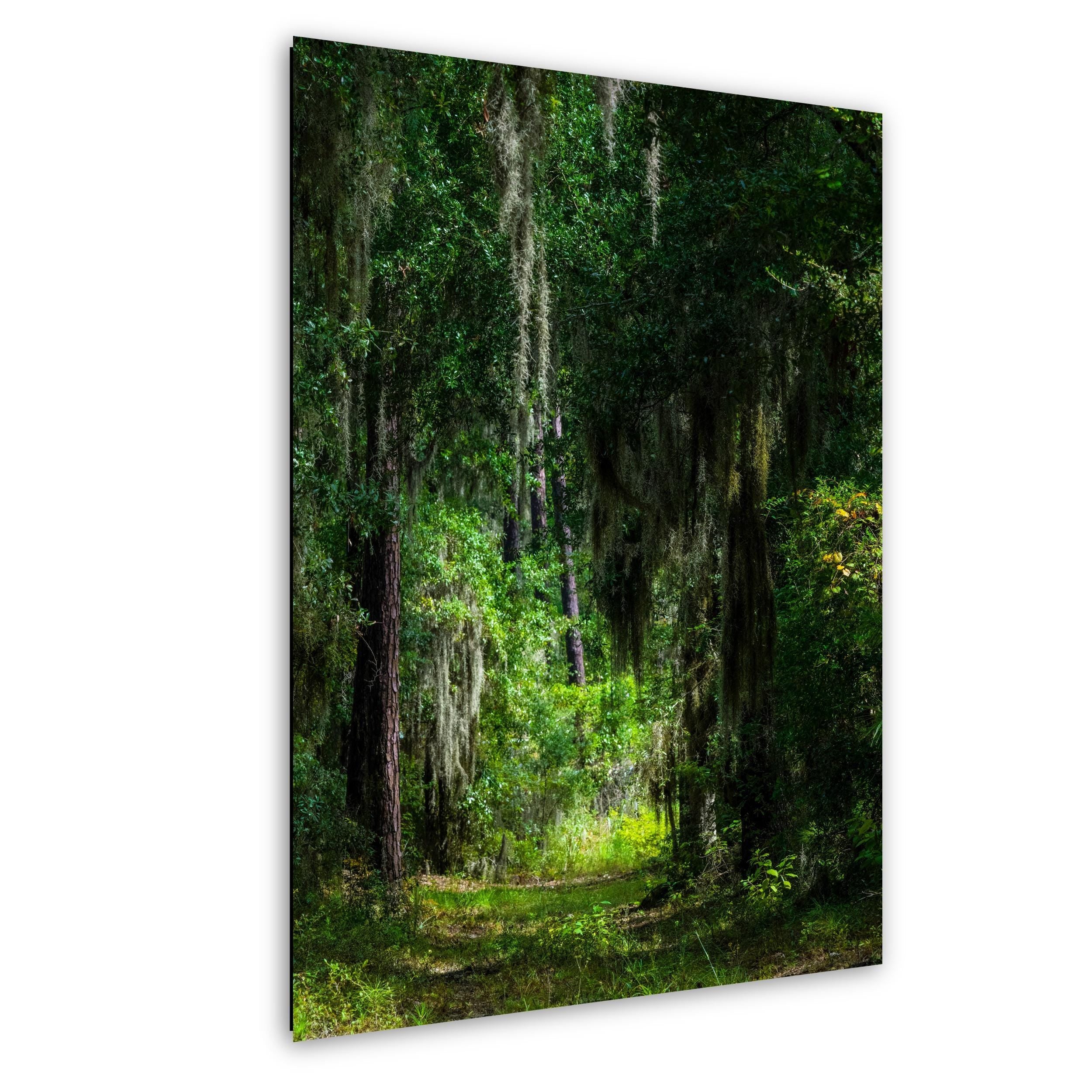 Sawtooth Mountains Print – Scenic Landscape Art | Modern Home Decor Wall Art
