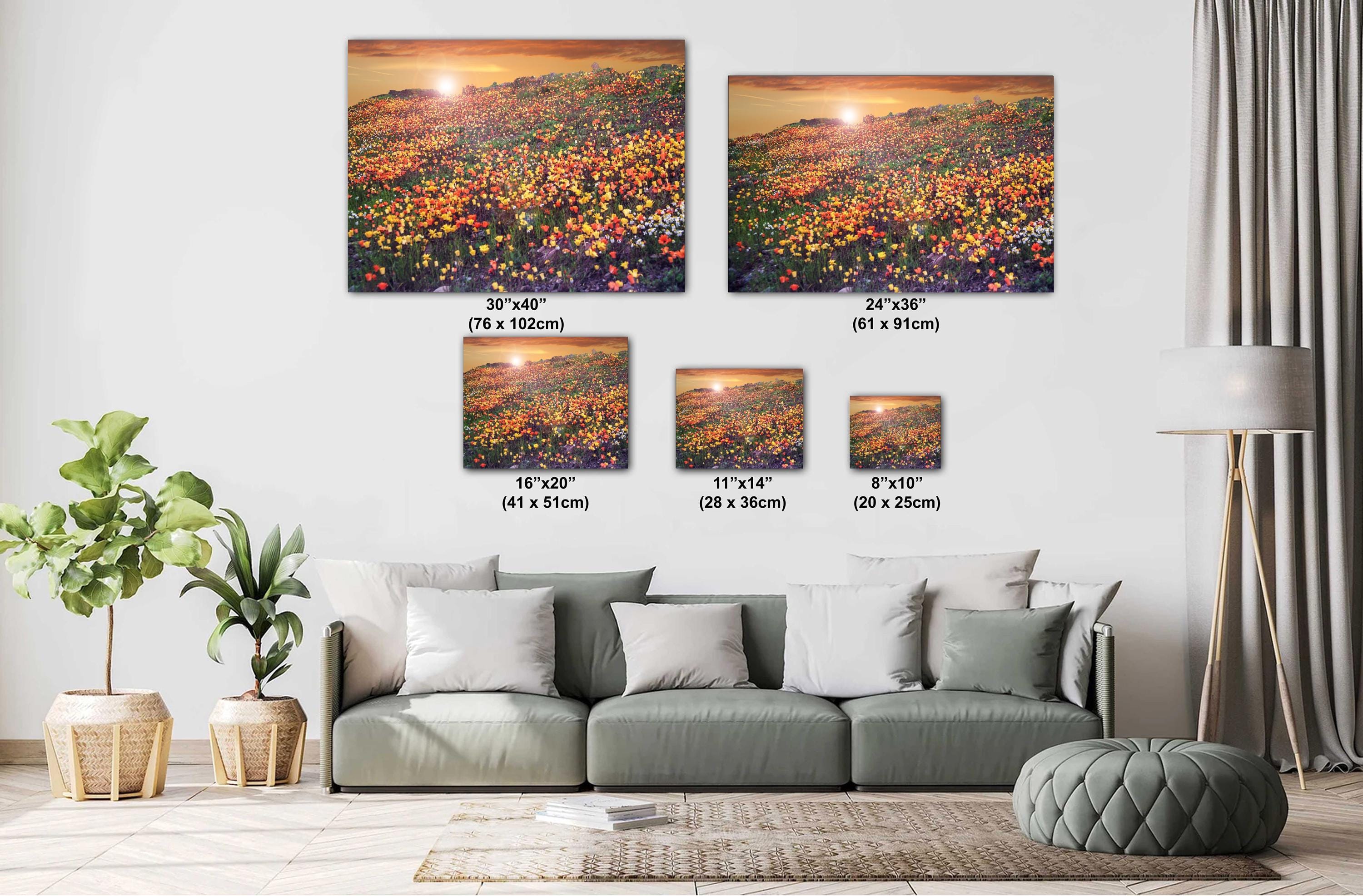Floral Photography Print – California Poppies Botanical Wall Art Decor