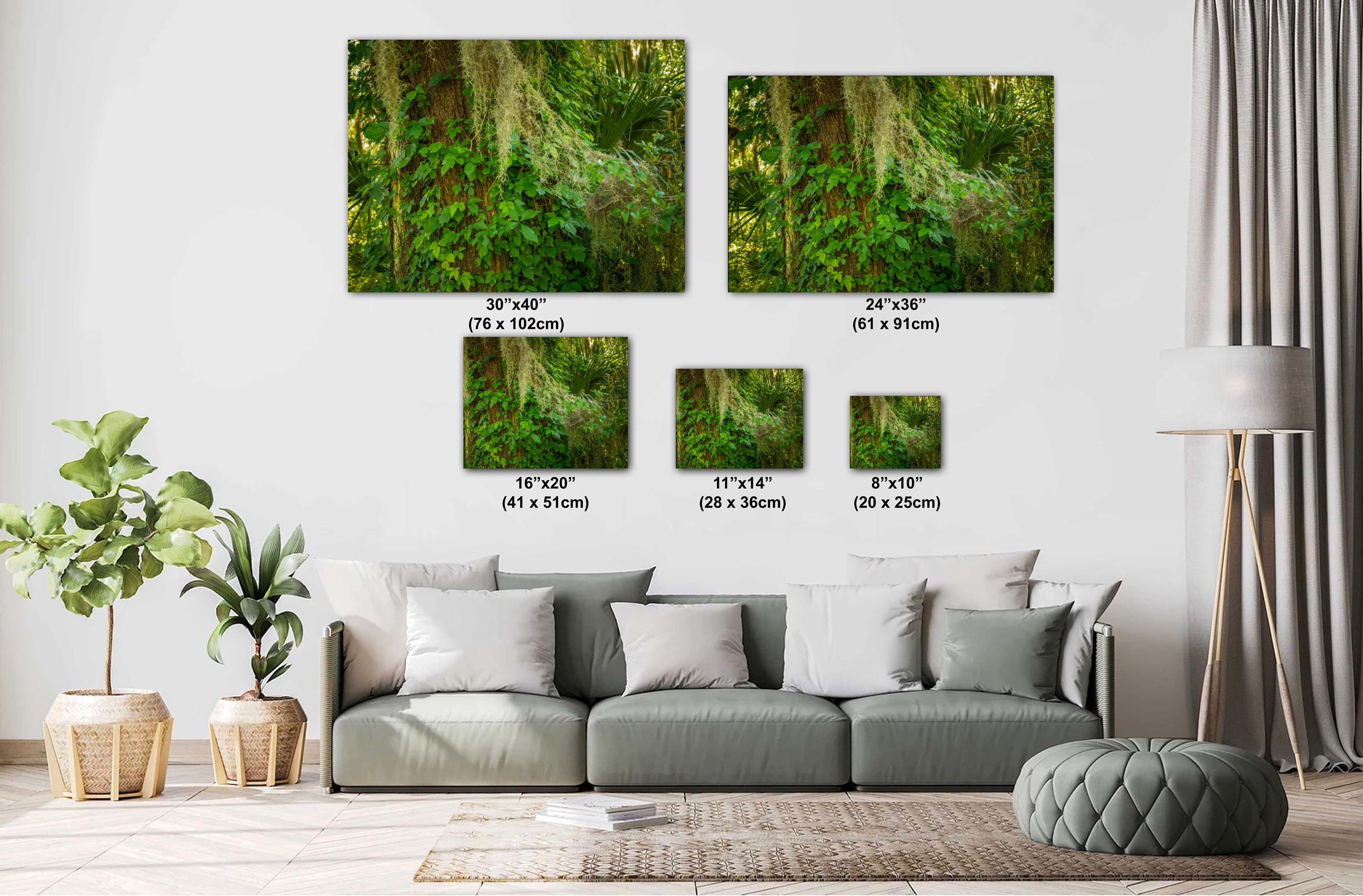 Savannah Photography Print – Southern Landscape Art | 12x18 Archival Paper Wall Decor