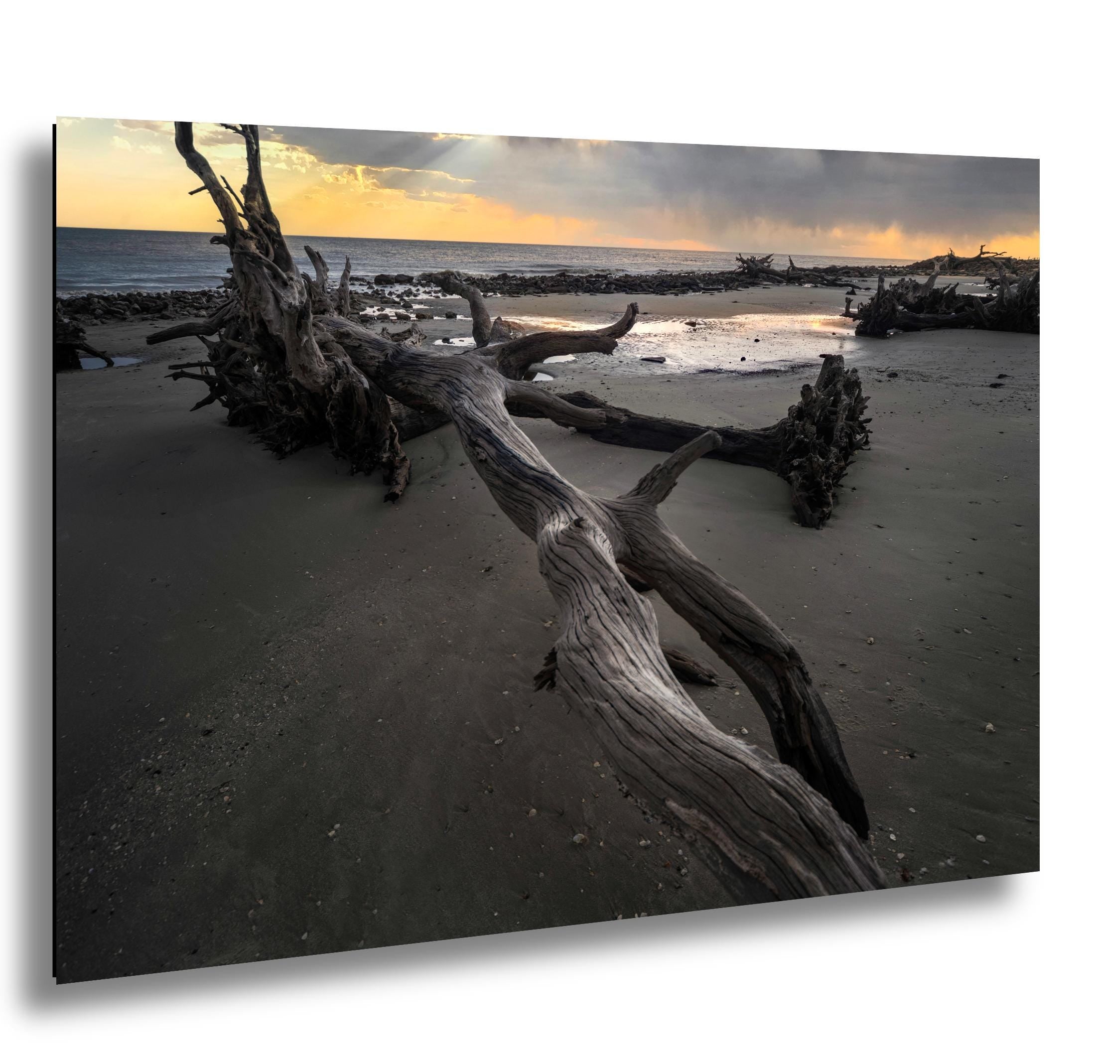 Driftwood Beach Photography Print - Georgia Coastal Art | Seaside Landscape Photo