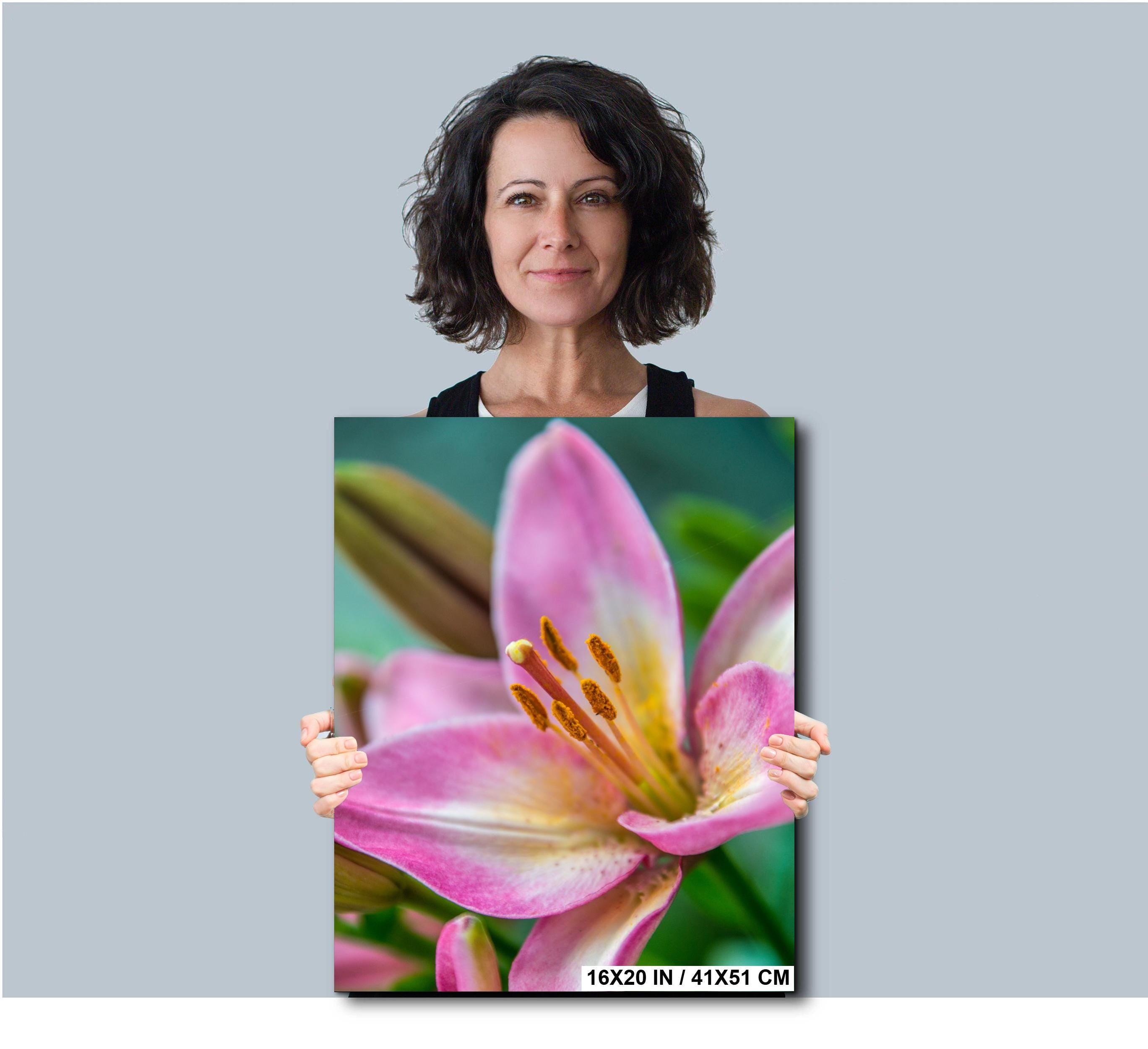 Texas Wildflower Art - Colorful Floral Wall Decor | Vibrant Botanical Photo Print