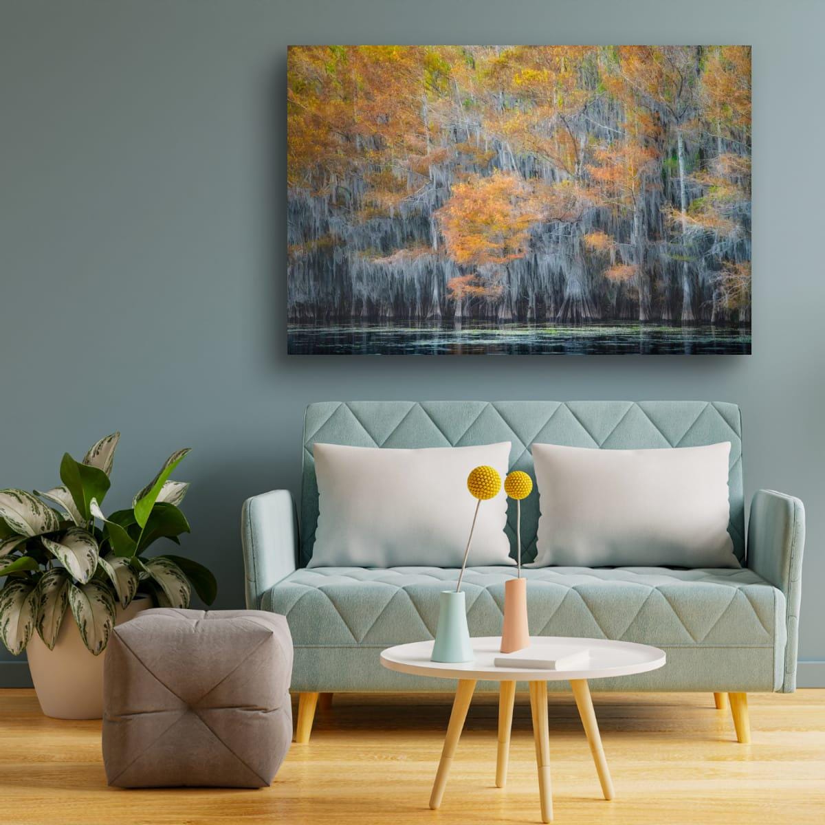 Lake Caddo Photography Print – Cypress Swamp Art | Texas Nature Decor