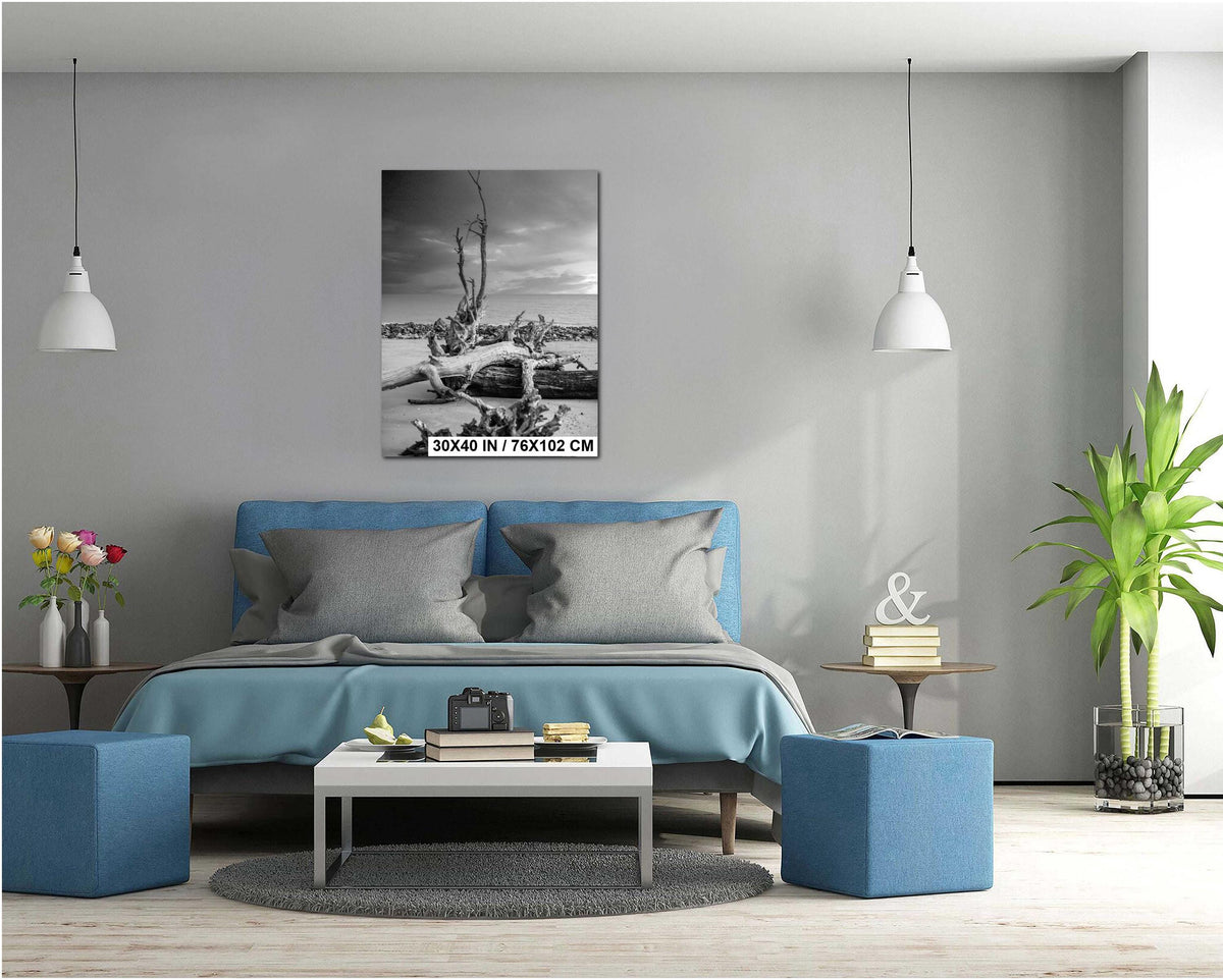 Driftwood Beach Print - Georgia Coastal Landscape Art | Seaside Wall Photo