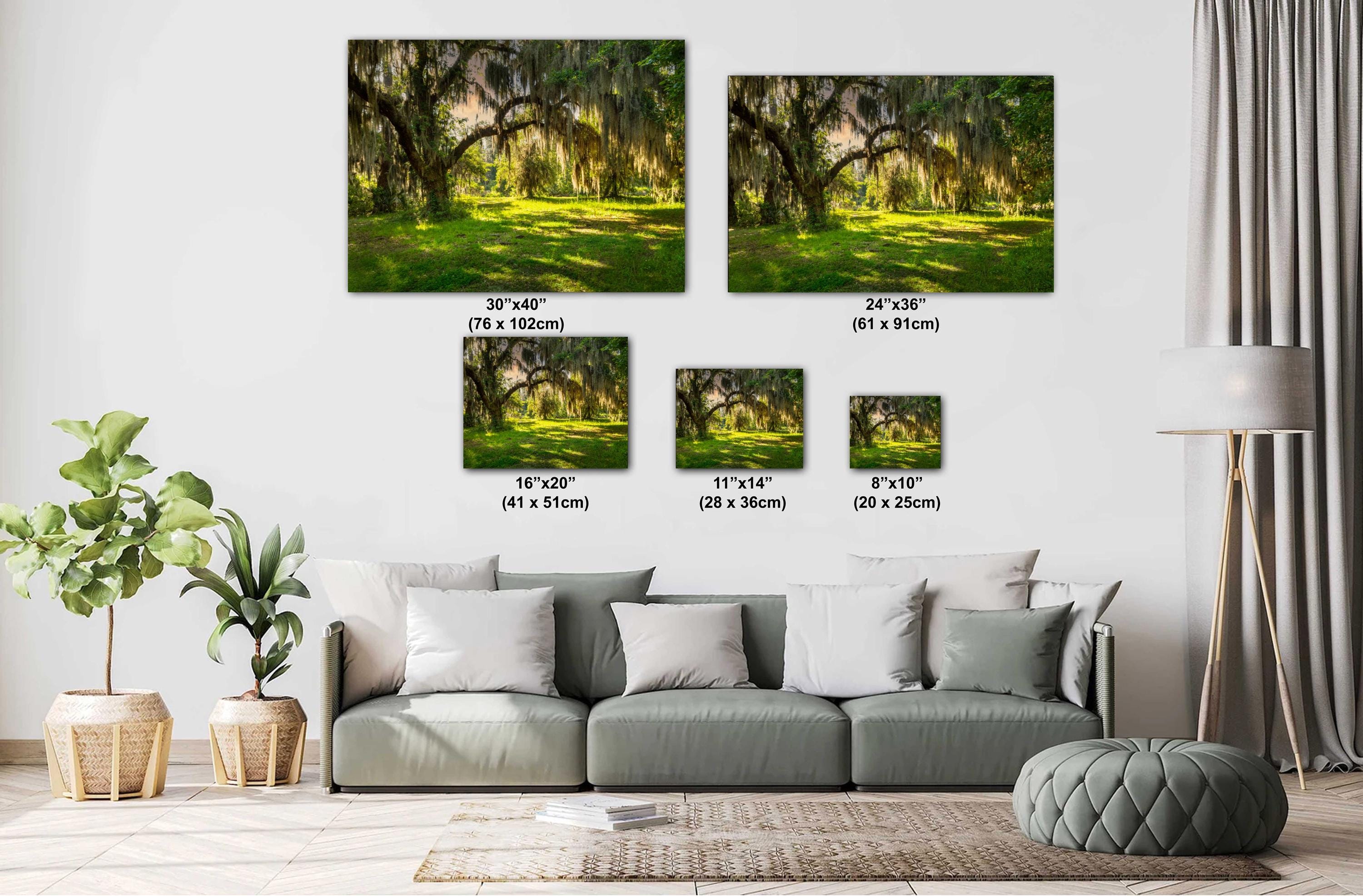 Savannah Georgia Photography - Abandoned Farm Photo | Southern Landscape Art Print