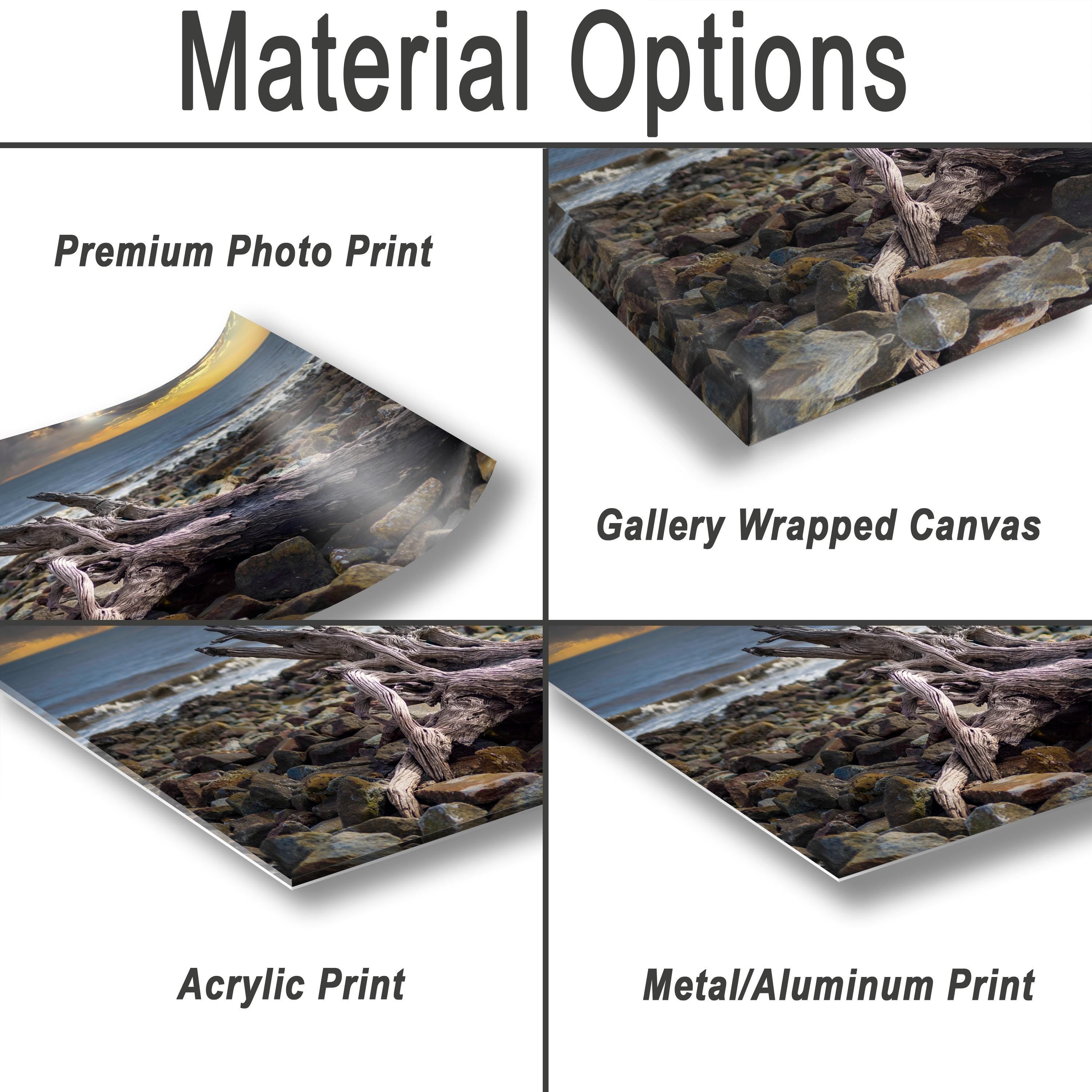 Driftwood Beach Photography Print – Georgia Coastal Landscape Art | Seaside Wall Decor