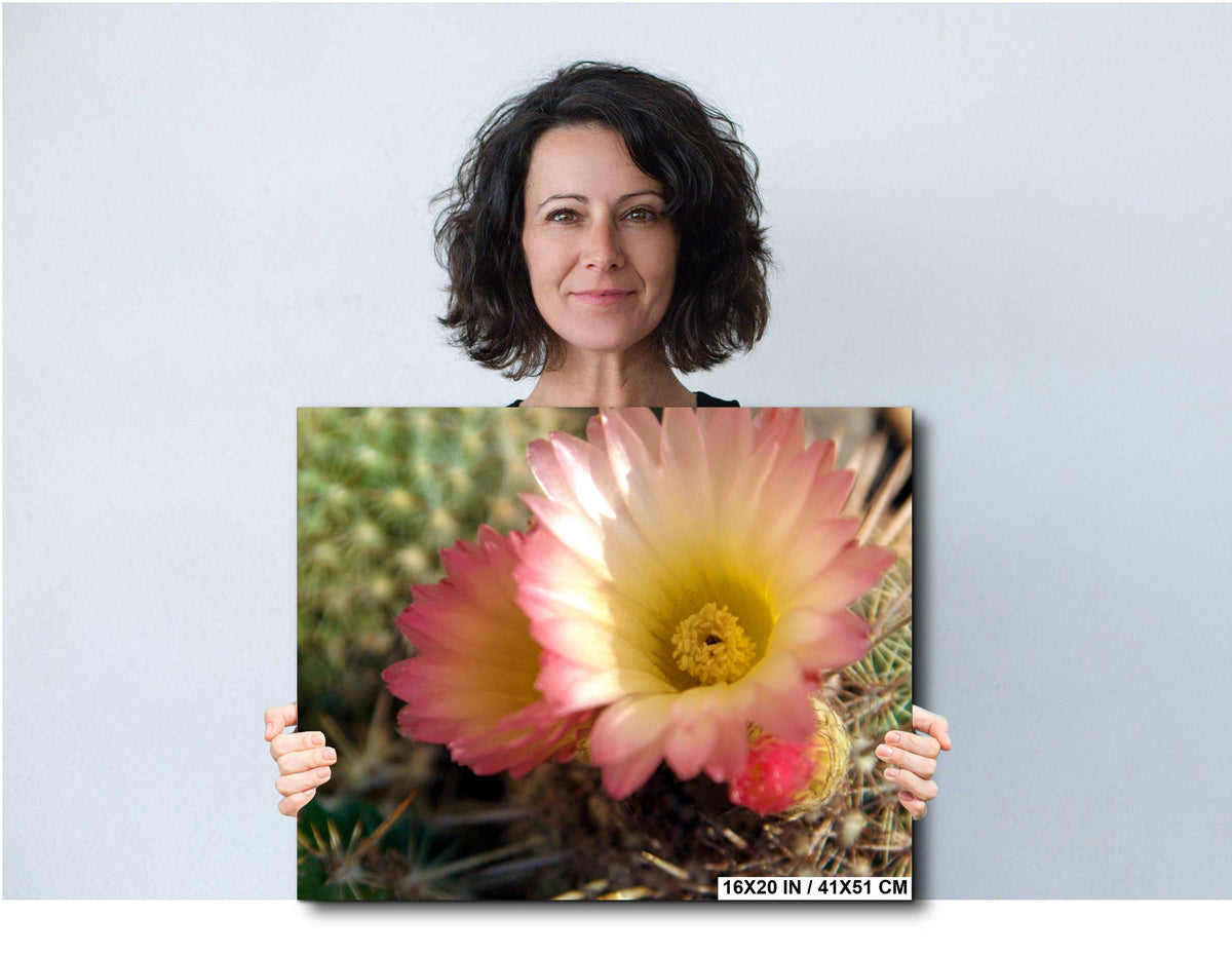 Texas Wildflower Wall Art – Vibrant Floral Photography Print on Archival Paper