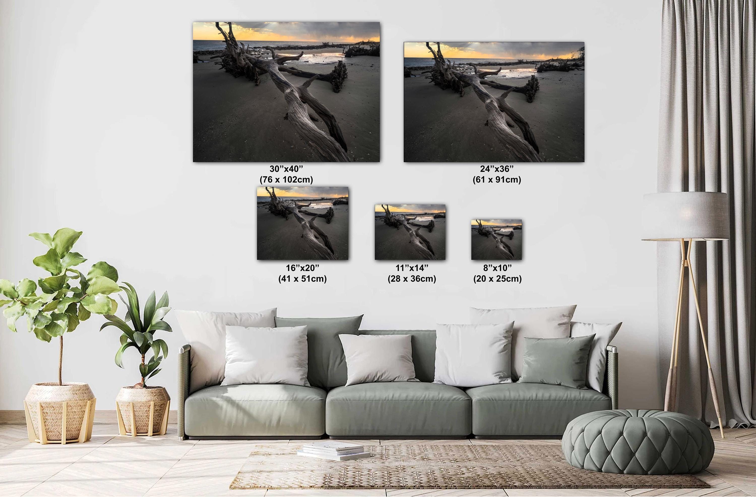 Driftwood Beach Photography Print - Georgia Coastal Art | Seaside Landscape Photo