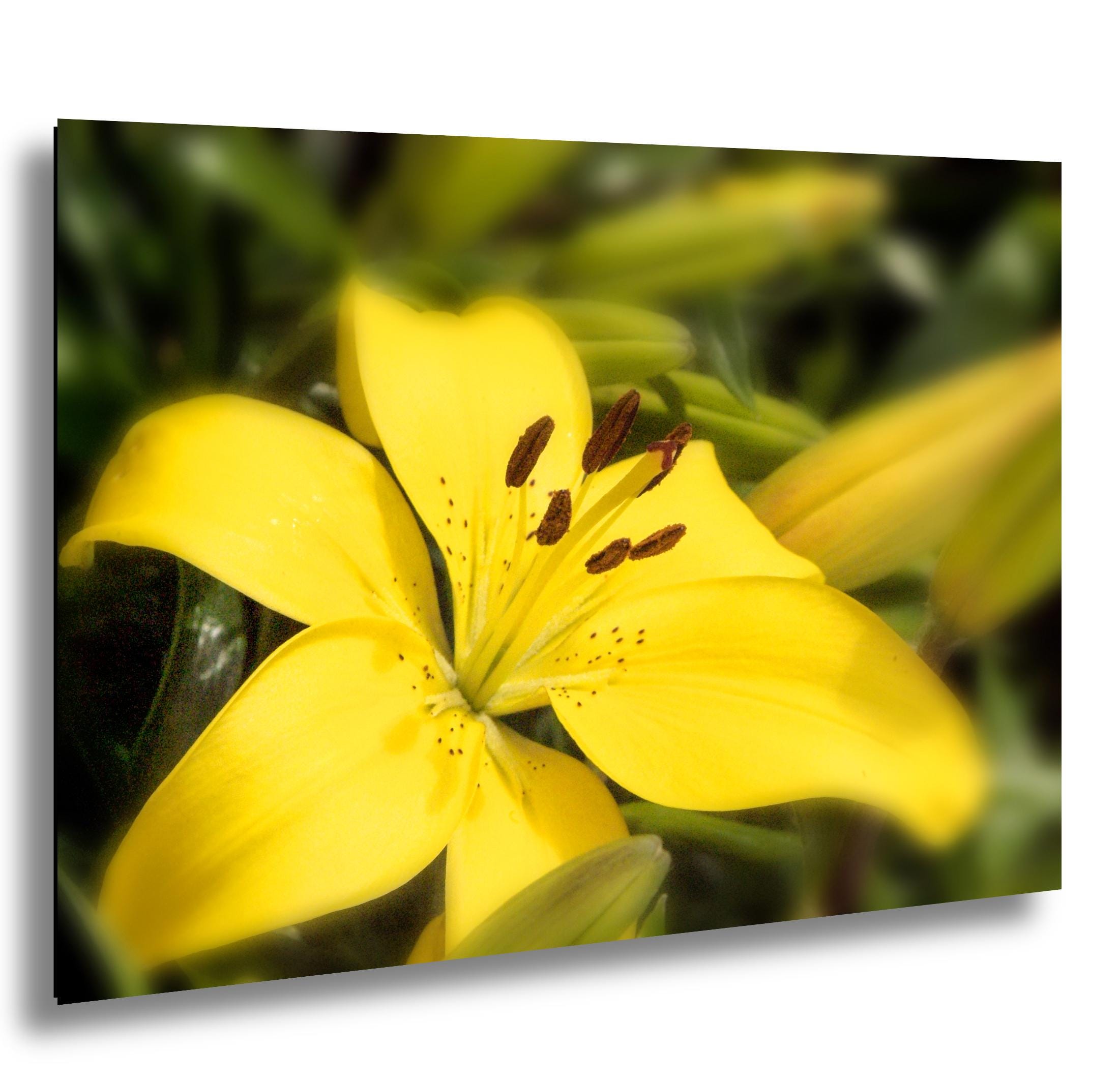 Floral Photography Print – Colorful Botanical Wall Art with Bloom Decor