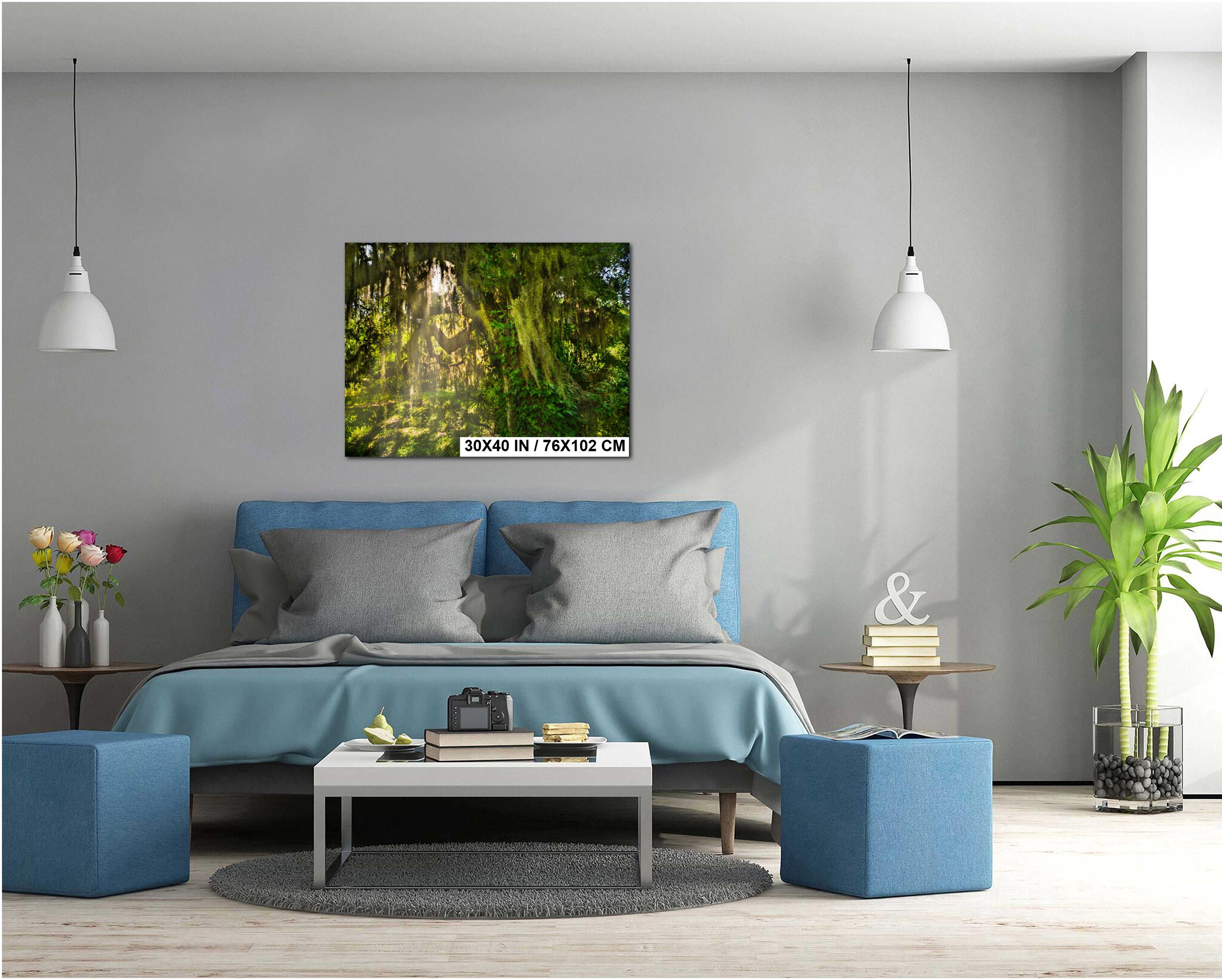 Savannah Photography Print – Southern Woods Art with Spanish Moss Wall Decor