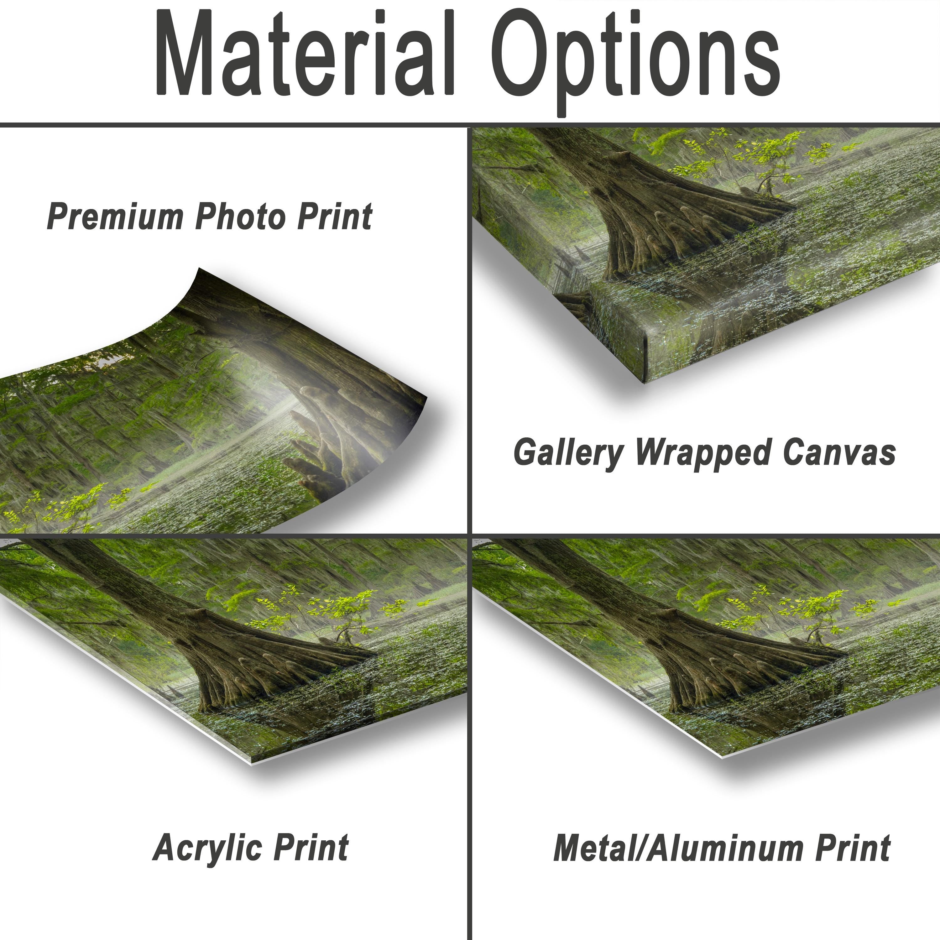 Caddo Lake Wall Art – Misty Lake Artwork | Nature Wall Decor For Home & Office