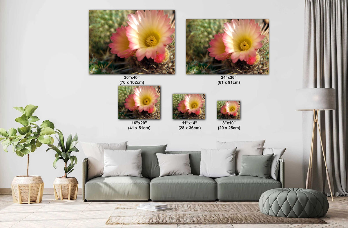 Texas Wildflower Wall Art – Vibrant Floral Photography Print on Archival Paper