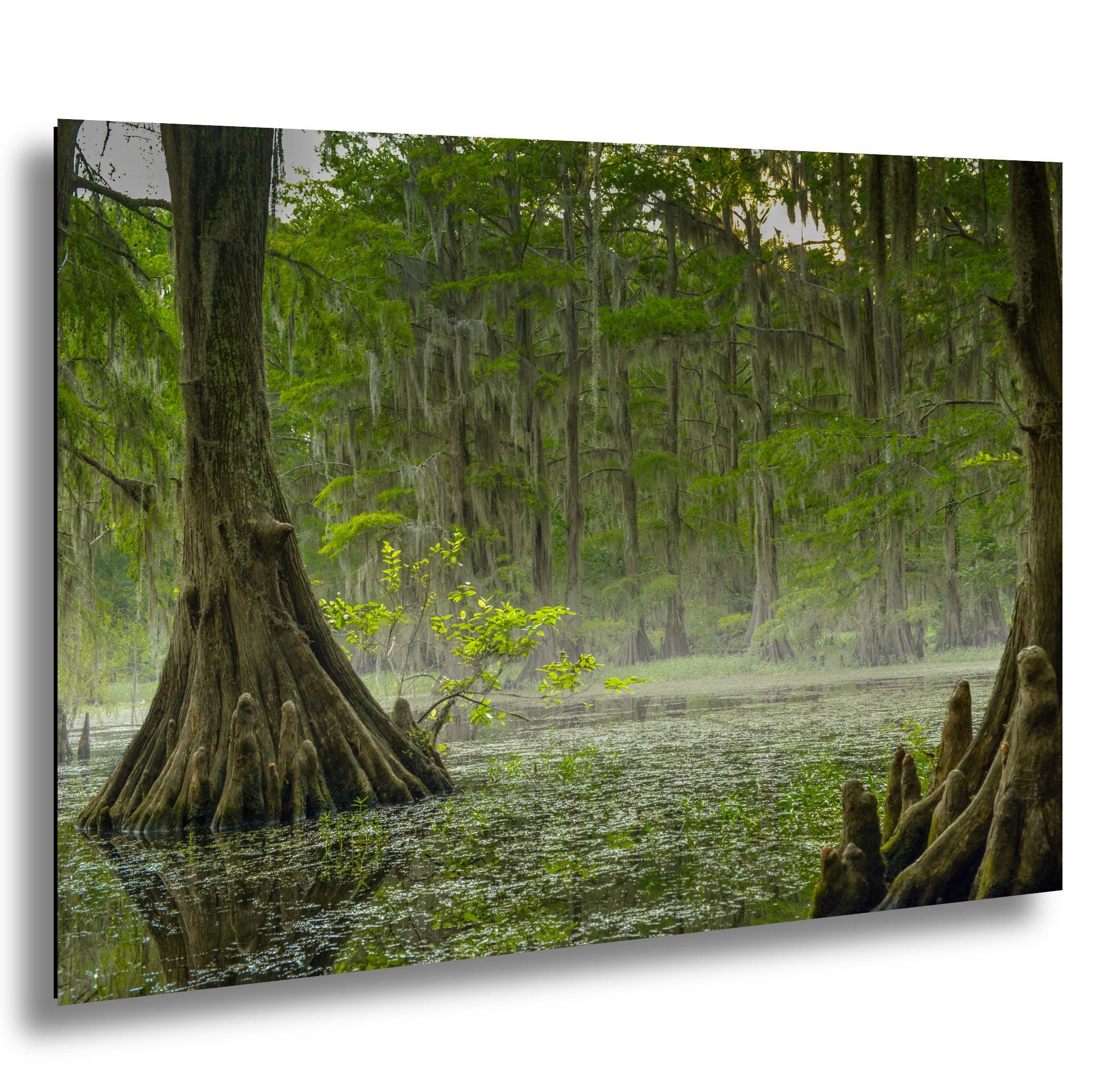 Caddo Lake Wall Art – Misty Lake Artwork | Nature Wall Decor For Home & Office