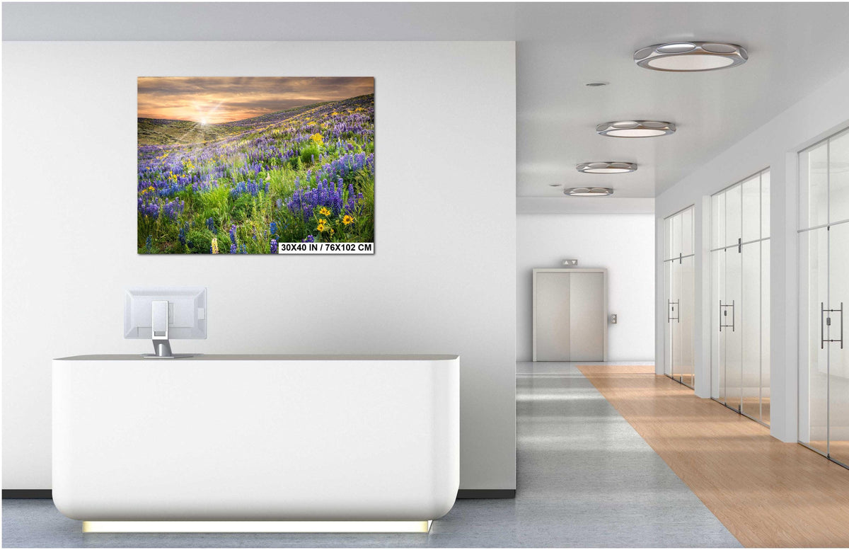 Idaho Floral Wall Art – Colorful Lupine Flower Print | Botanical Nature Artwork