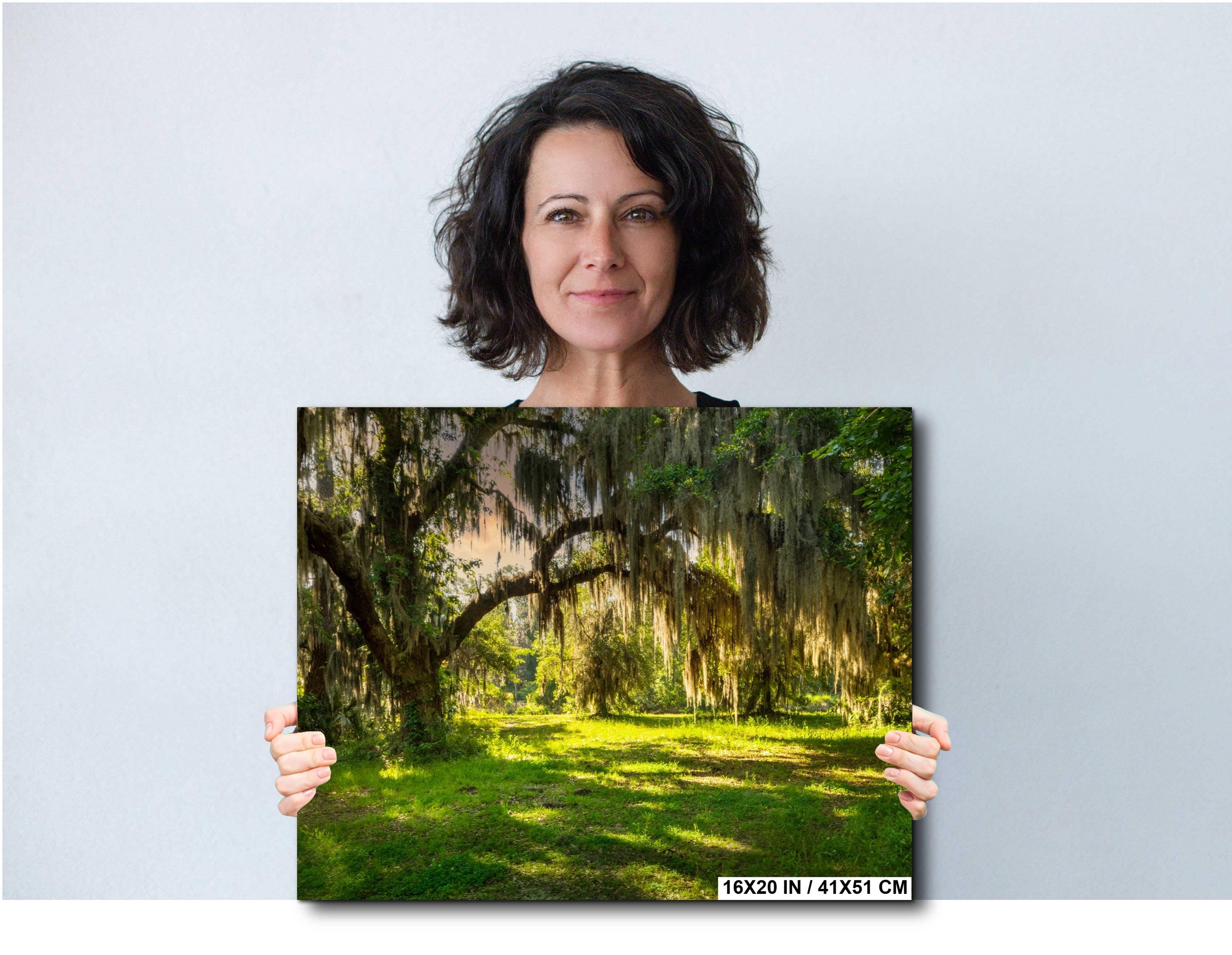 Savannah Georgia Photography - Abandoned Farm Photo | Southern Landscape Art Print