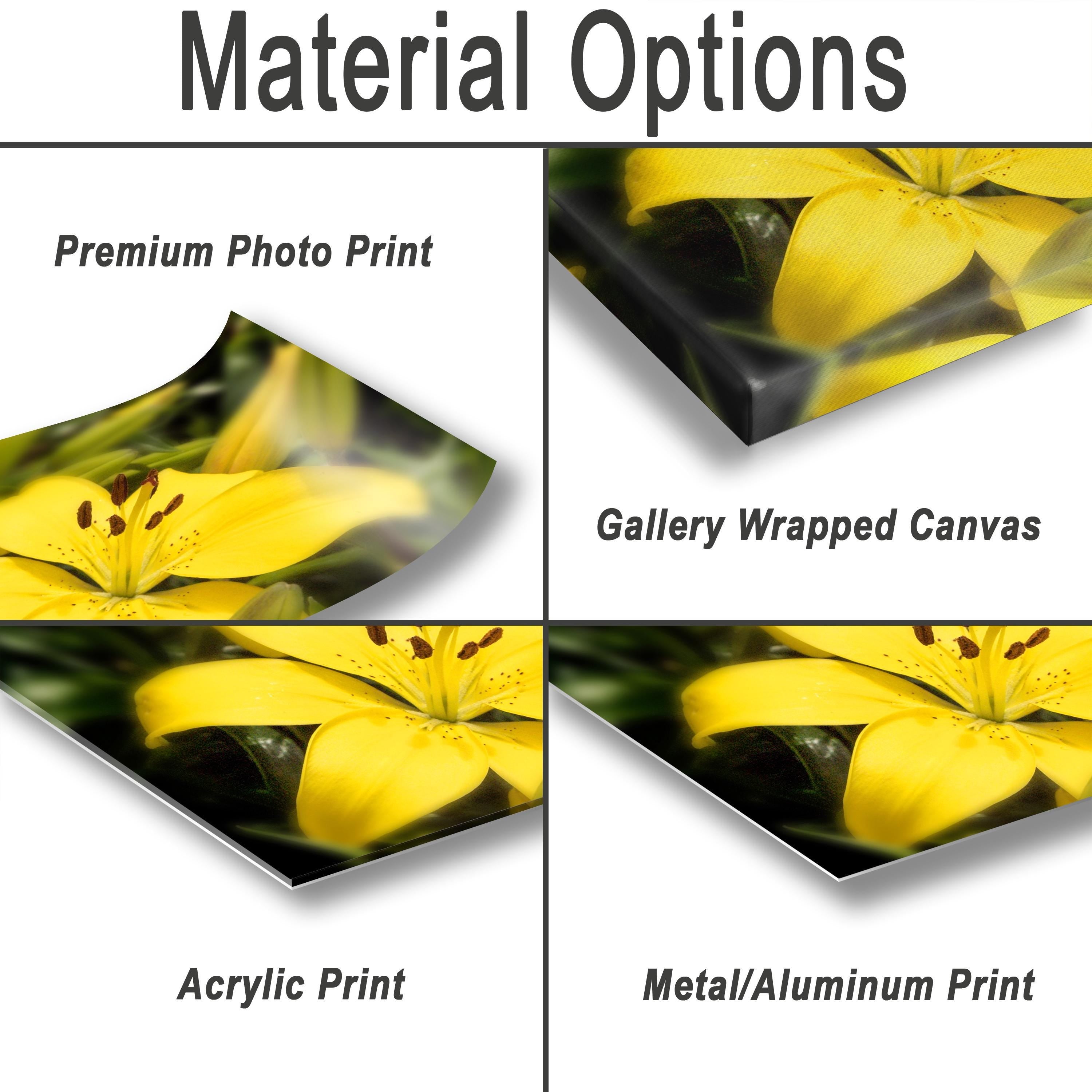 Floral Photography Print – Colorful Botanical Wall Art with Bloom Decor