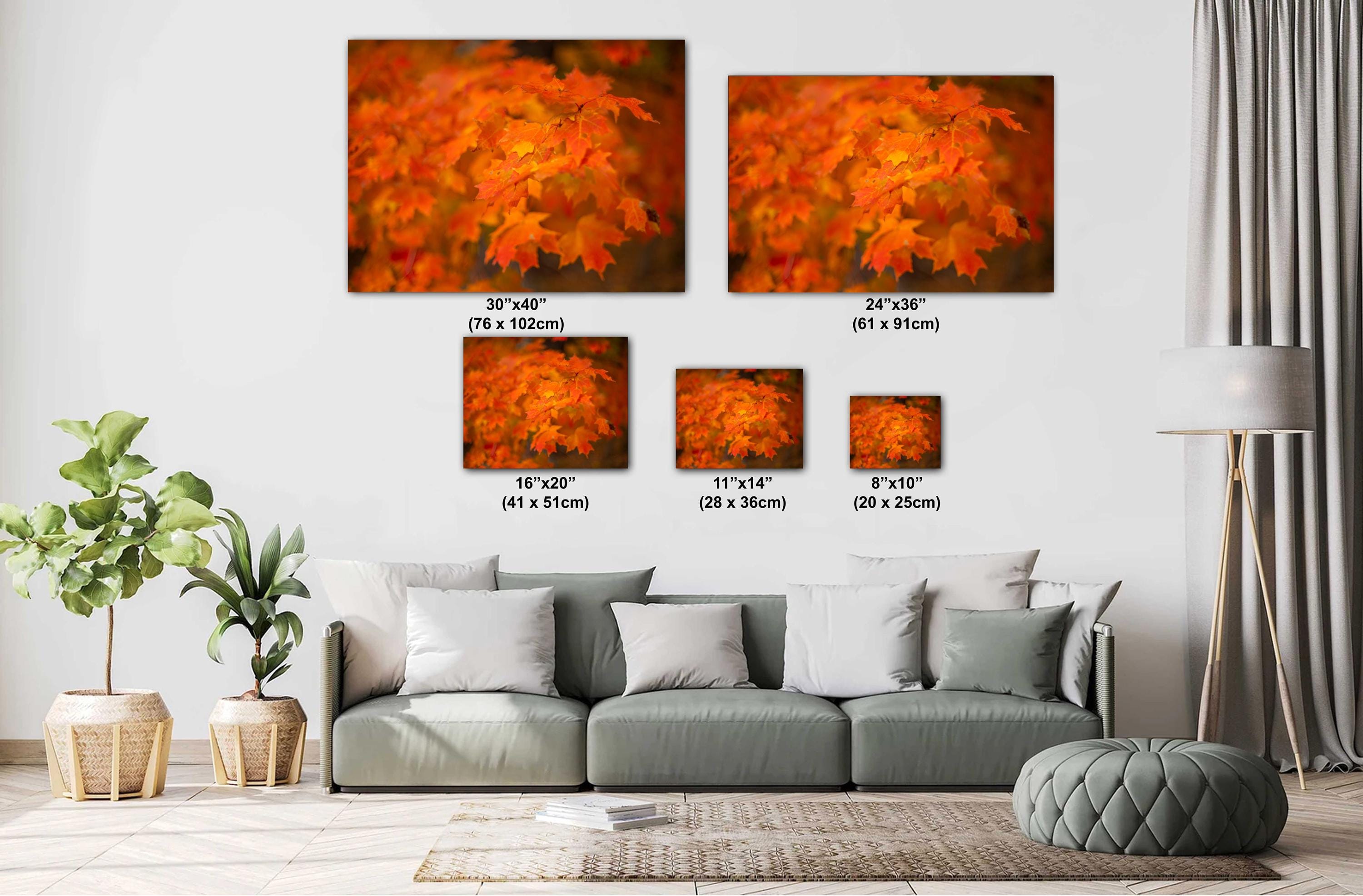Adirondack Autumn Print - Vibrant Fall Foliage Art | Scenic Forest Artwork