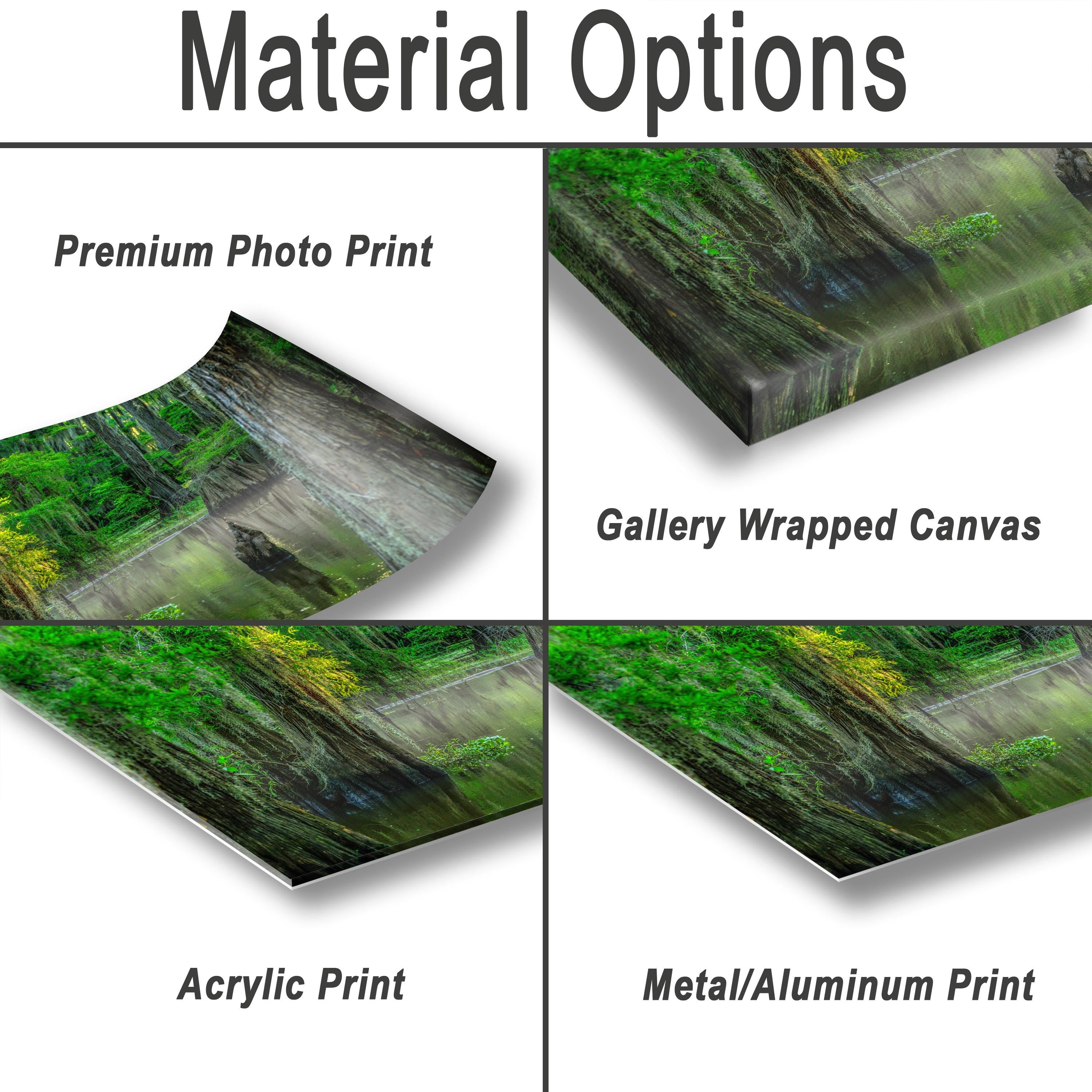Caddo Lake Wall Art – Nature Photography Print Featuring Cypress Grove Decor