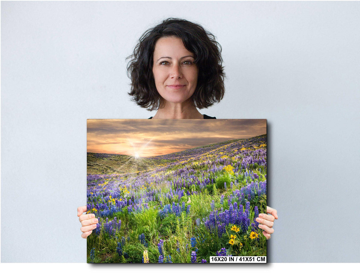 Idaho Floral Wall Art – Colorful Lupine Flower Print | Botanical Nature Artwork