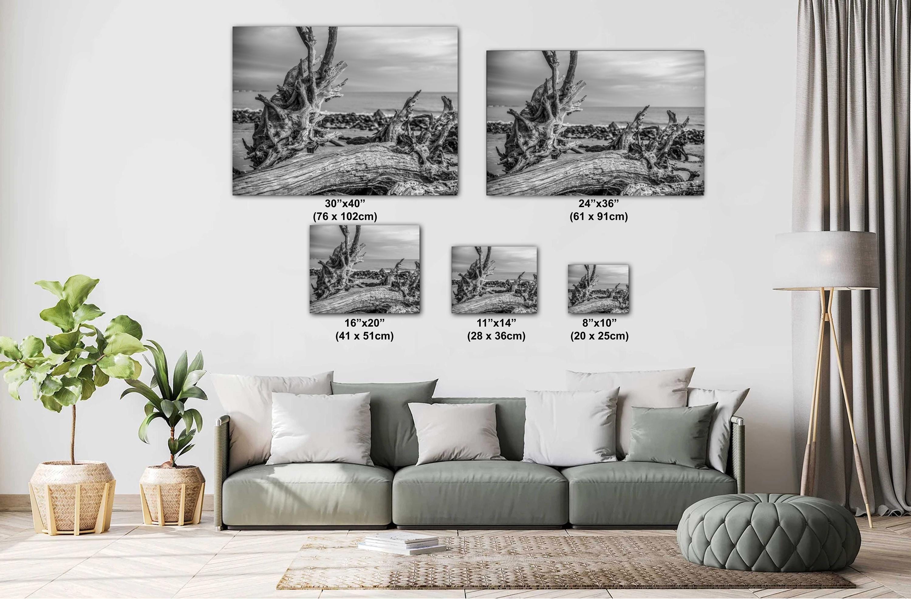 Coastal Driftwood Photography - Georgia Landscape Print | Beach Wall Art Decor