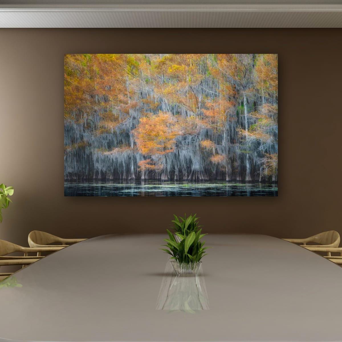 Lake Caddo Photography Print – Cypress Swamp Art | Texas Nature Decor