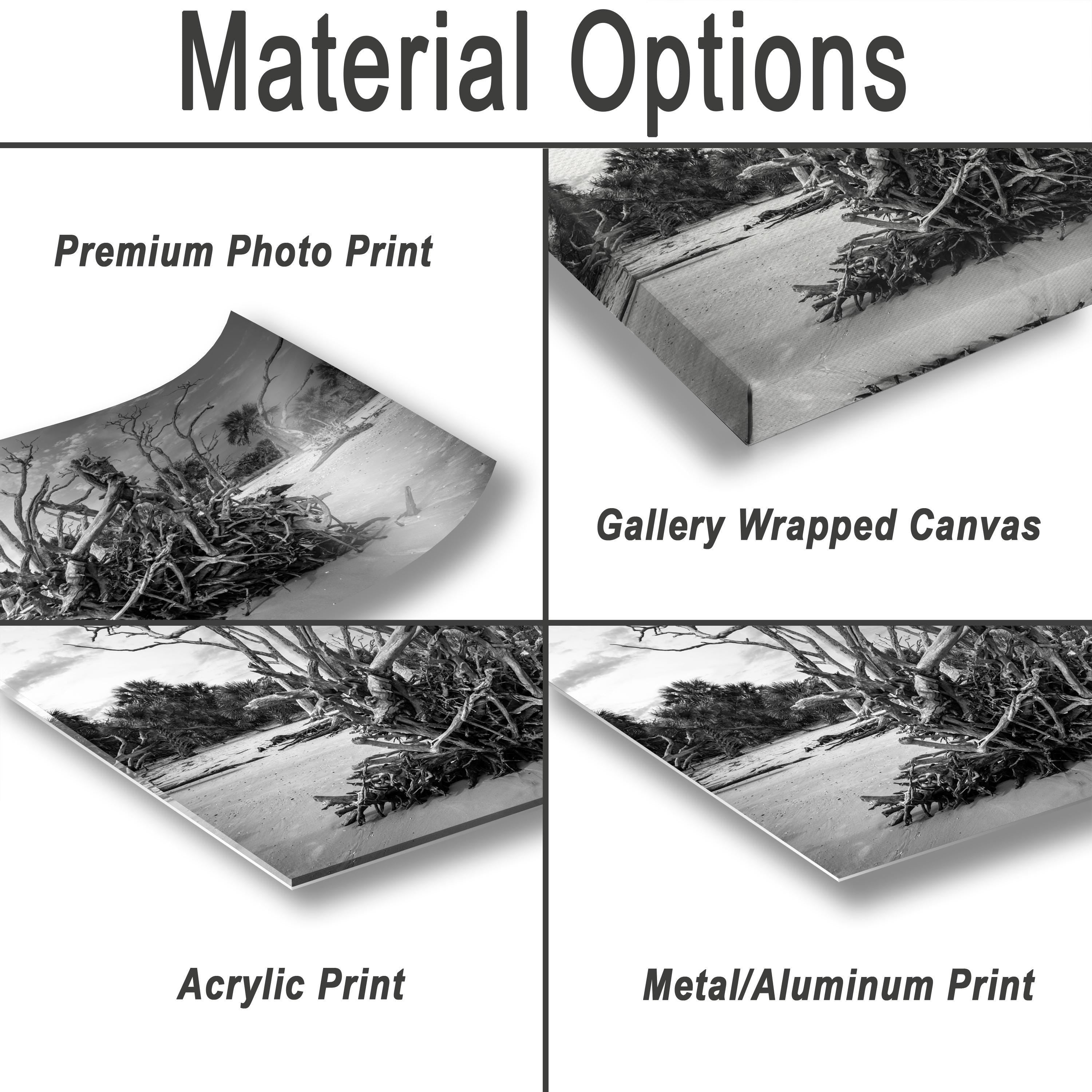 Driftwood Beach Photography Print – Coastal Wall Art With Georgia Beach Landscape