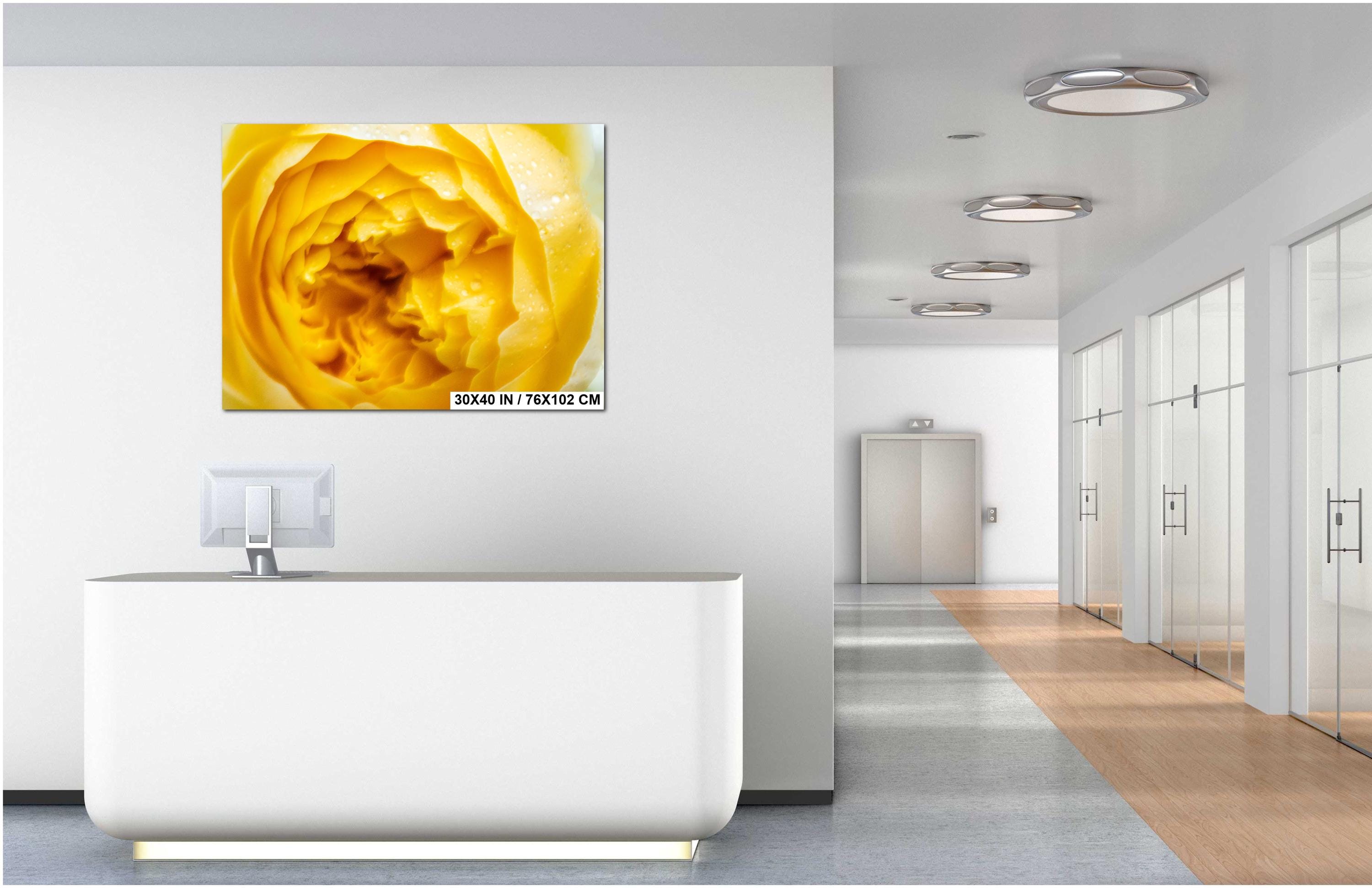 Yellow Rose Wall Art – Vibrant Floral Photography Print | Modern Home Decor