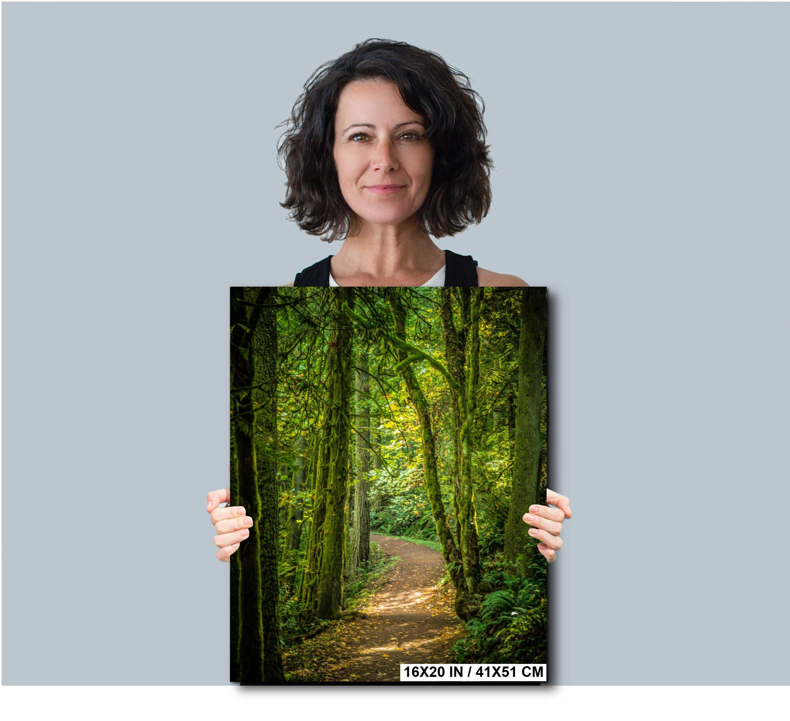 Columbia River Gorge Art - Pacific Northwest Landscape Photography Print | Scenic Waterfall Photo