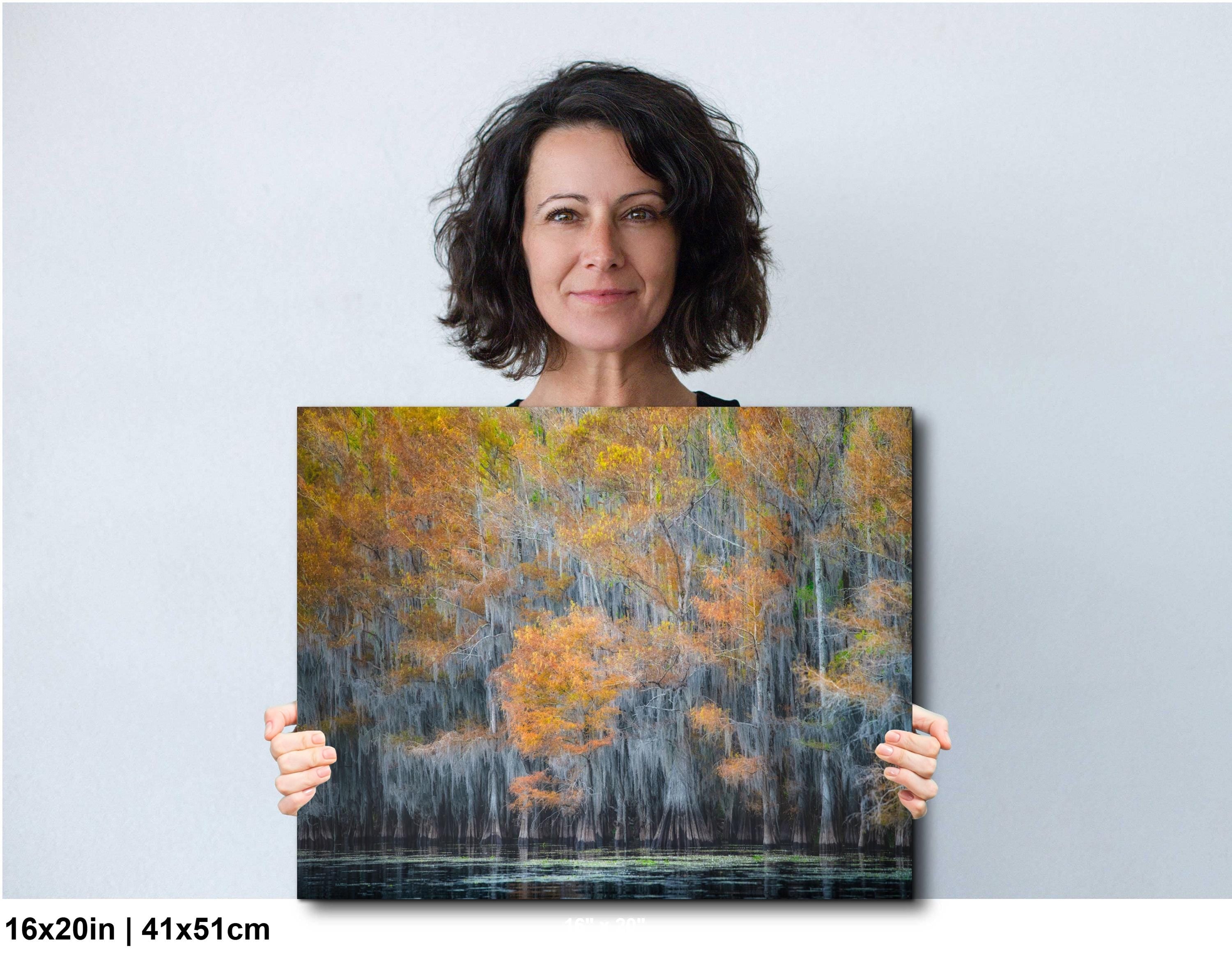 Lake Caddo Photography Print – Cypress Swamp Art | Texas Nature Decor