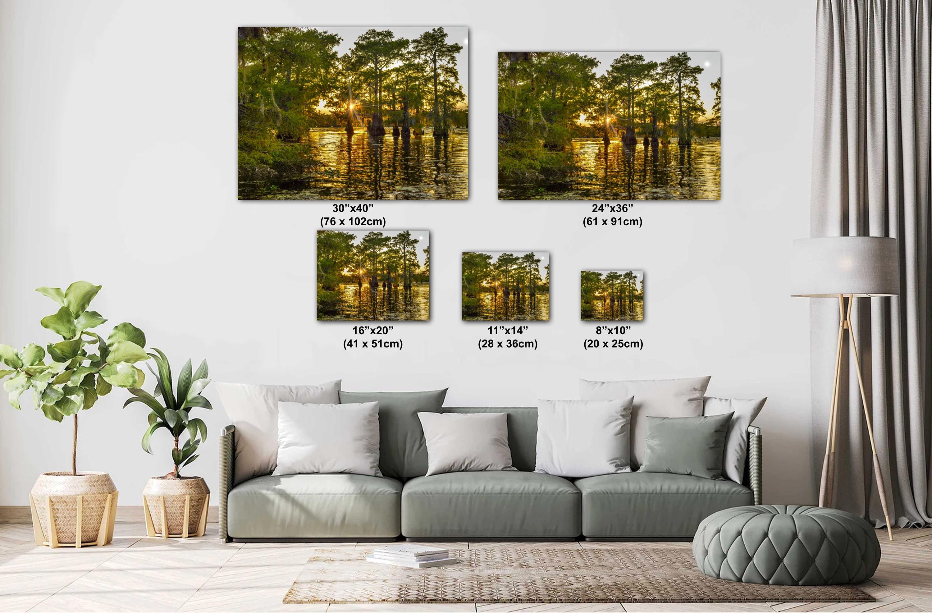 Caddo Lake Photography Print – Texas Swamp Art | Bayou Landscape Wall Decor