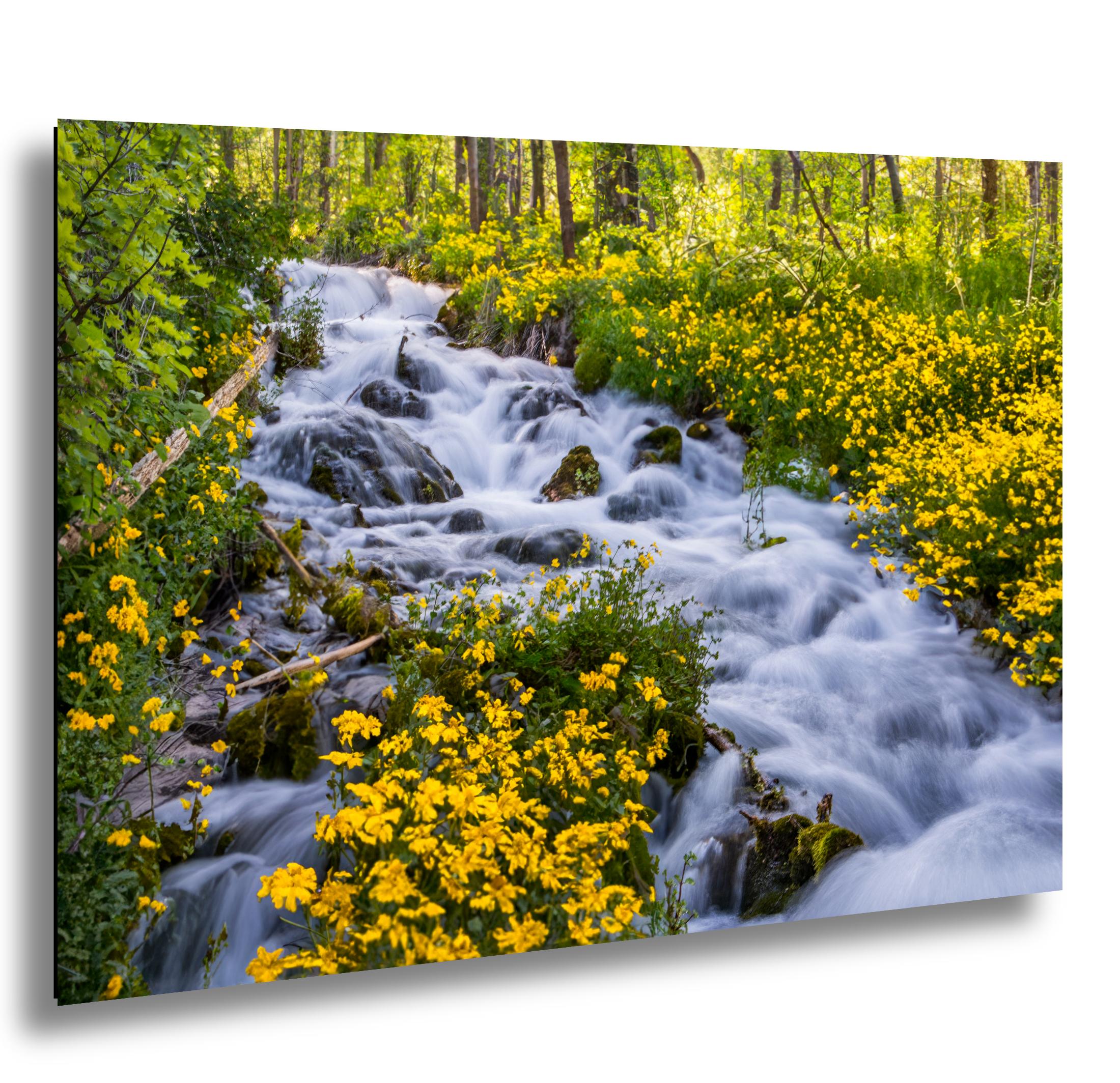 Wasatch Mountains Print - Utah Autumn Art | Vibrant Leaf Print & Alpine Scenic Wall Art