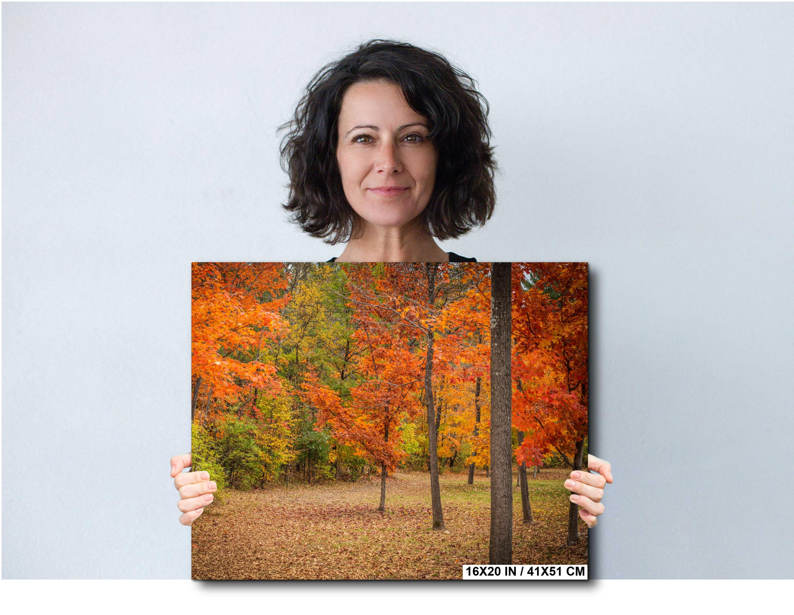 Adirondack Autumn Print – Fall Foliage Art | Scenic New York Landscape Wall Decor