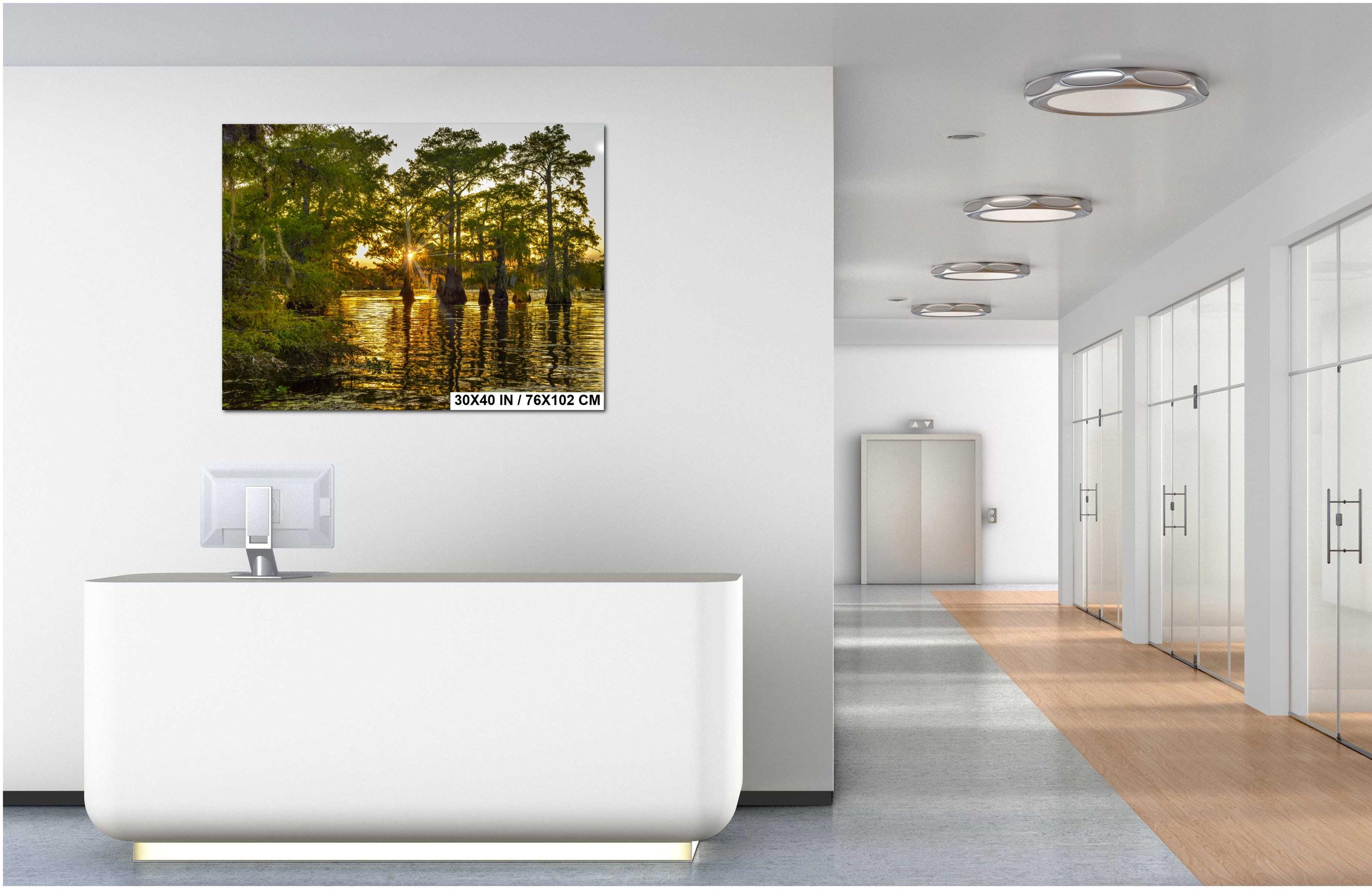 Caddo Lake Photography Print – Texas Swamp Art | Bayou Landscape Wall Decor